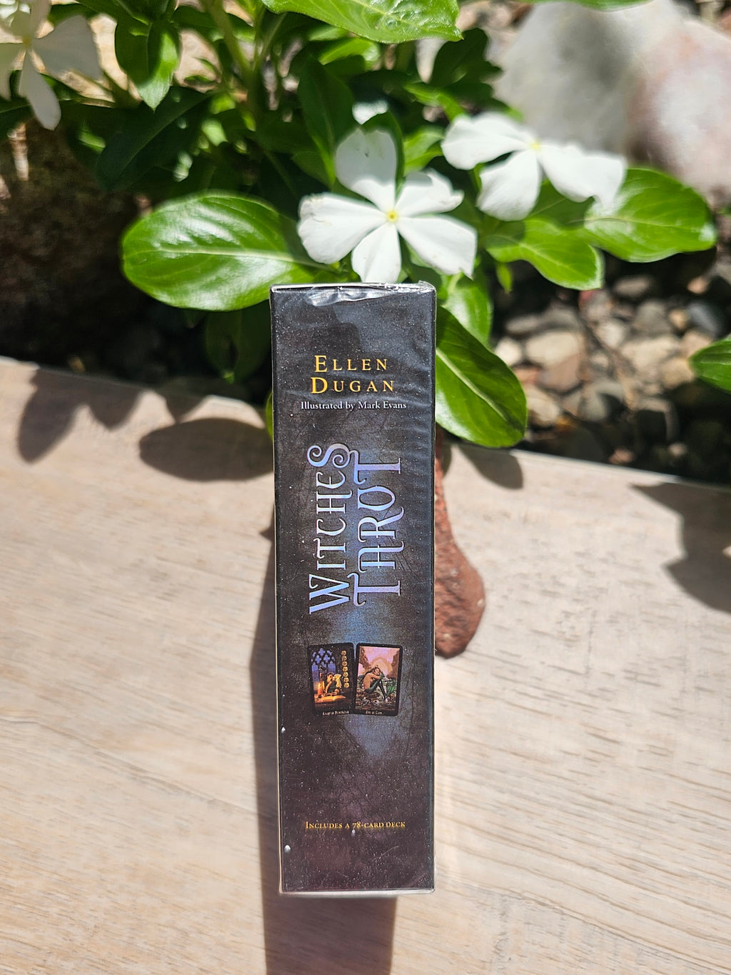 Witches Tarot Cards