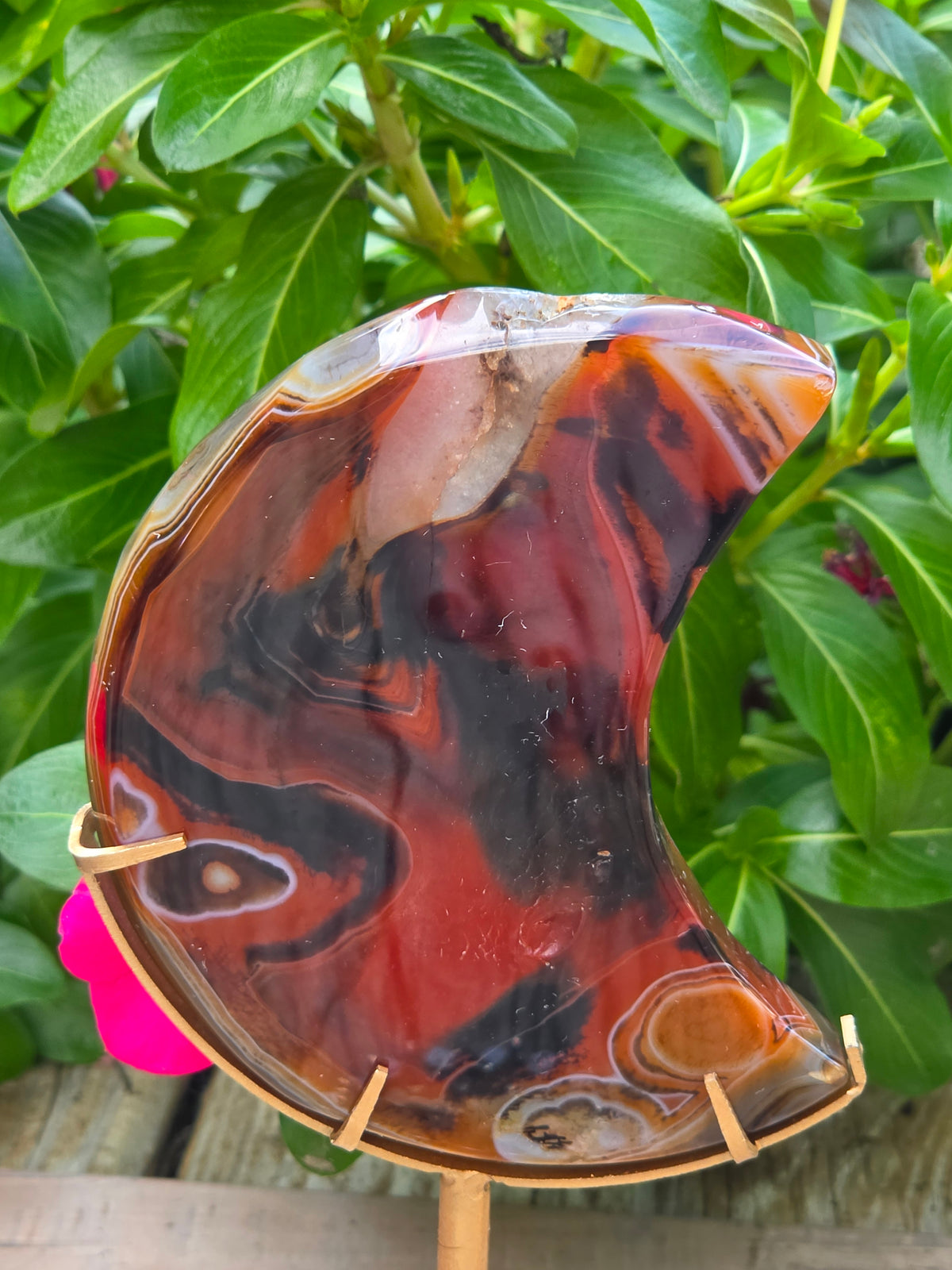 Sardonyx Crystal Crescent Moon on Stand with Druzy