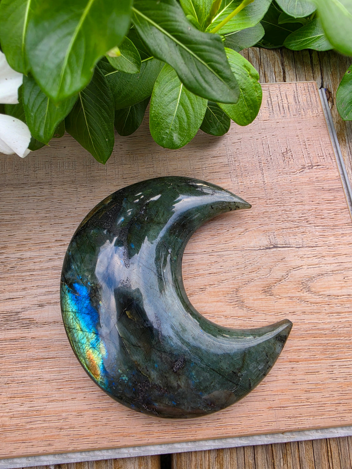 Labradorite Crystal Crescent Moon on Stand