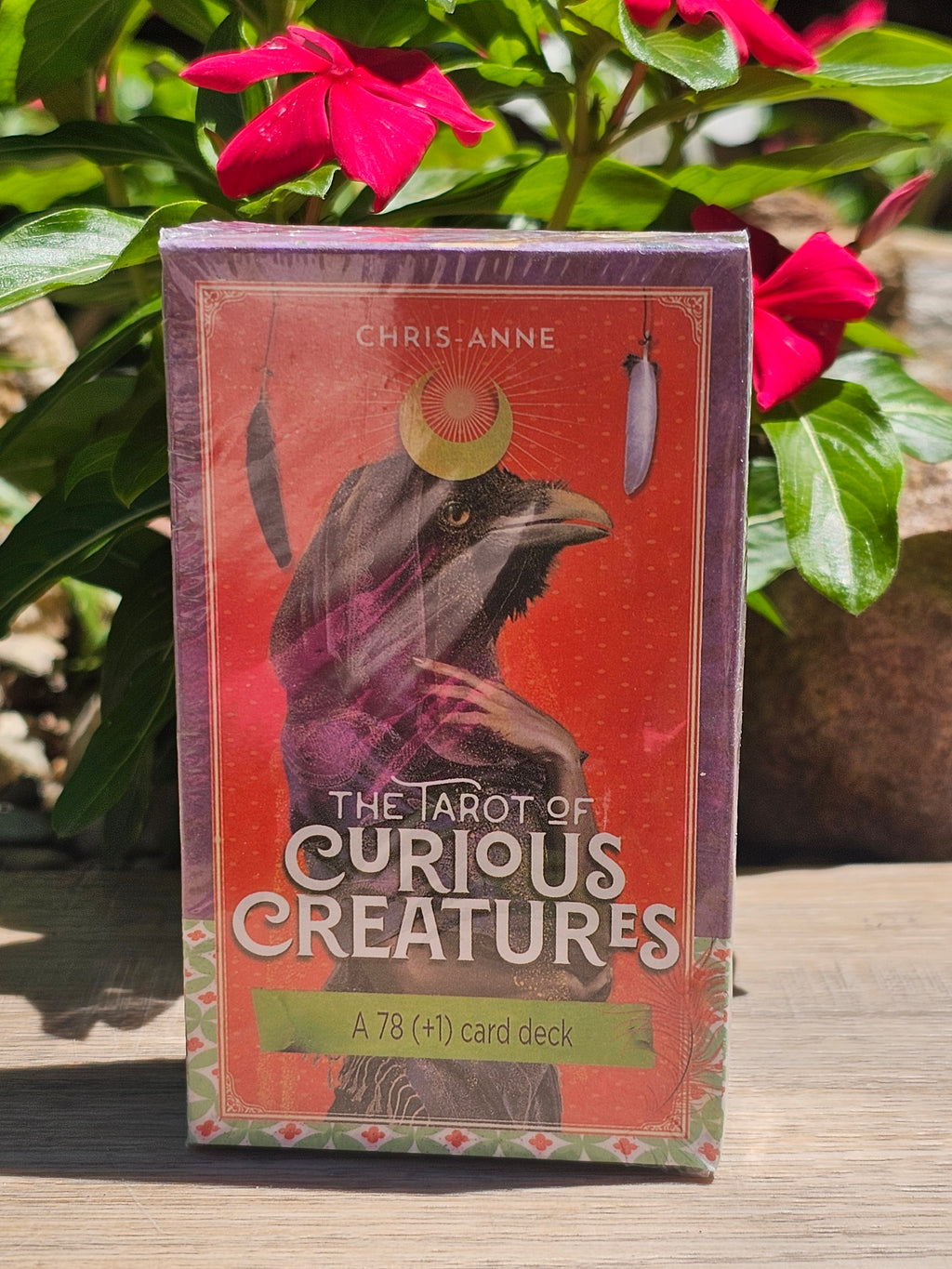 The Tarot Of Curious Creatures