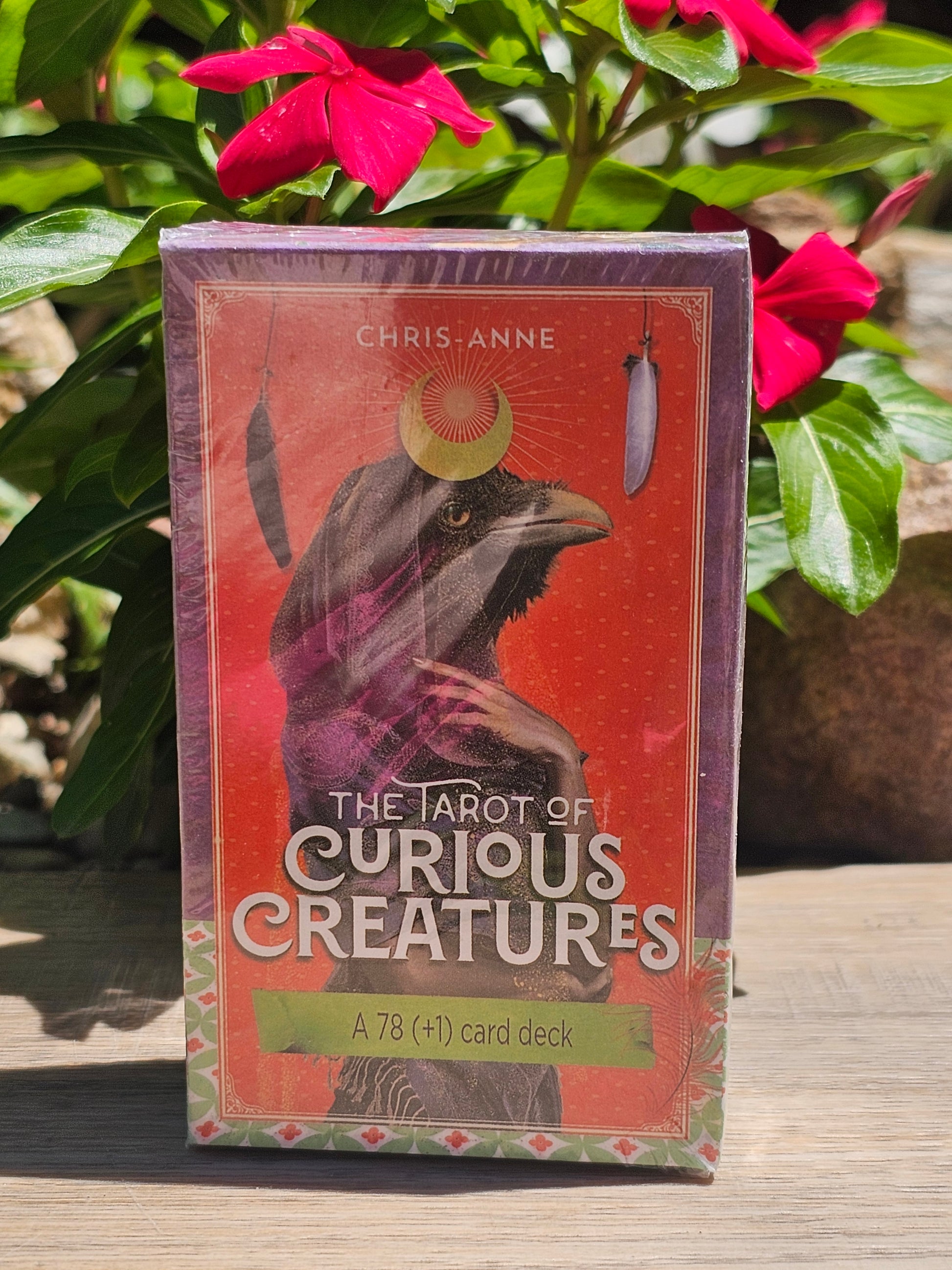 The Tarot Of Curious Creatures
