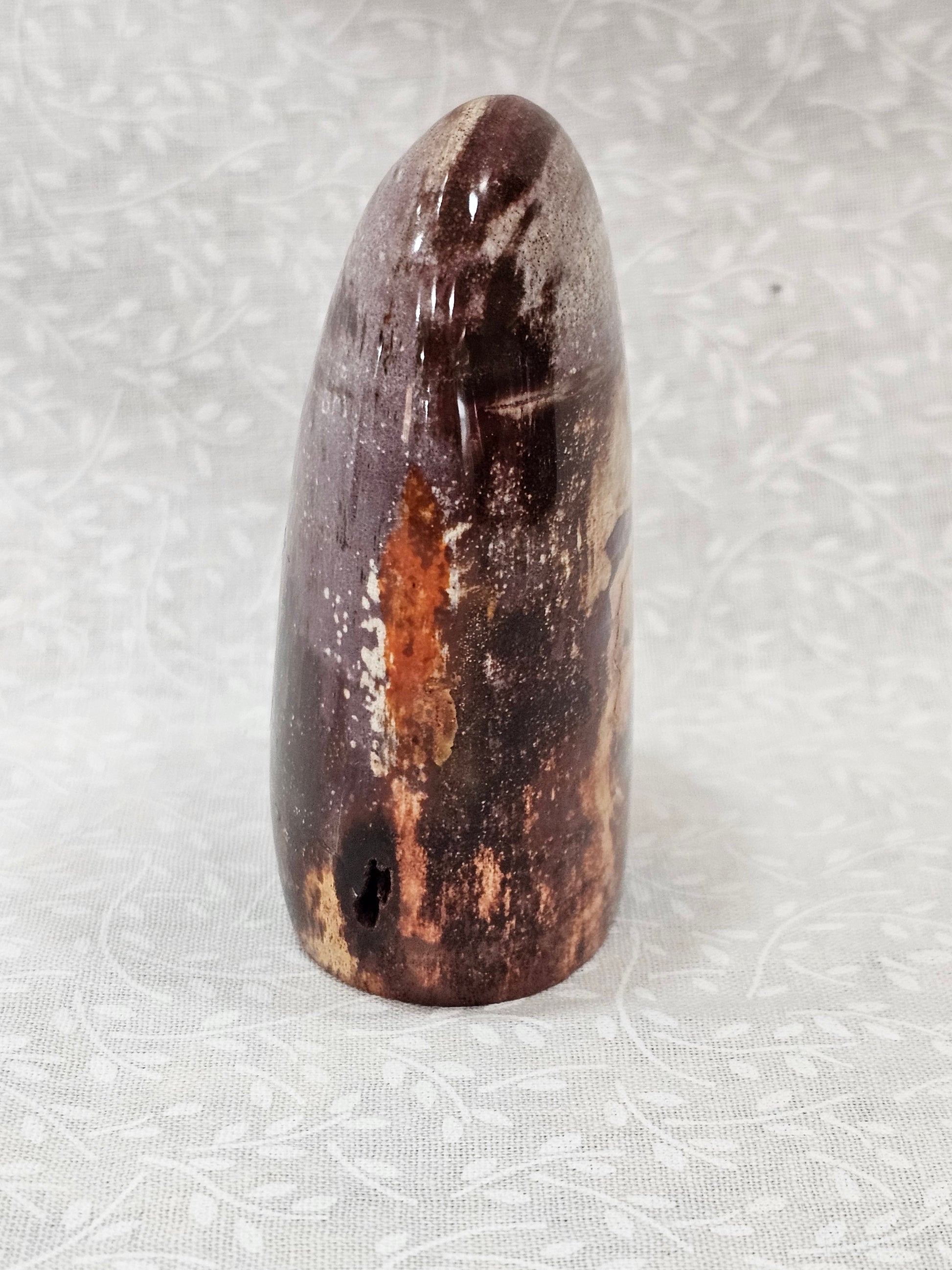 Petrified Wood Crystal Free Form