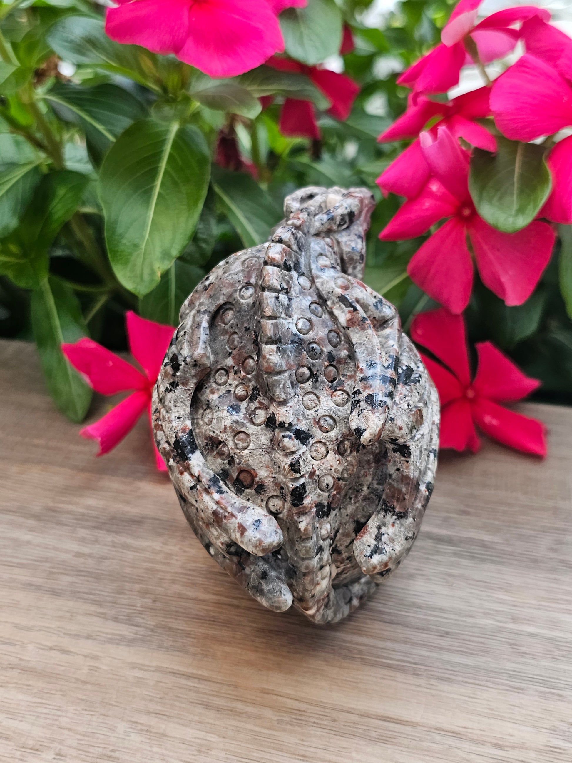 Yooperlite Crystal Skull with Dragon Carving