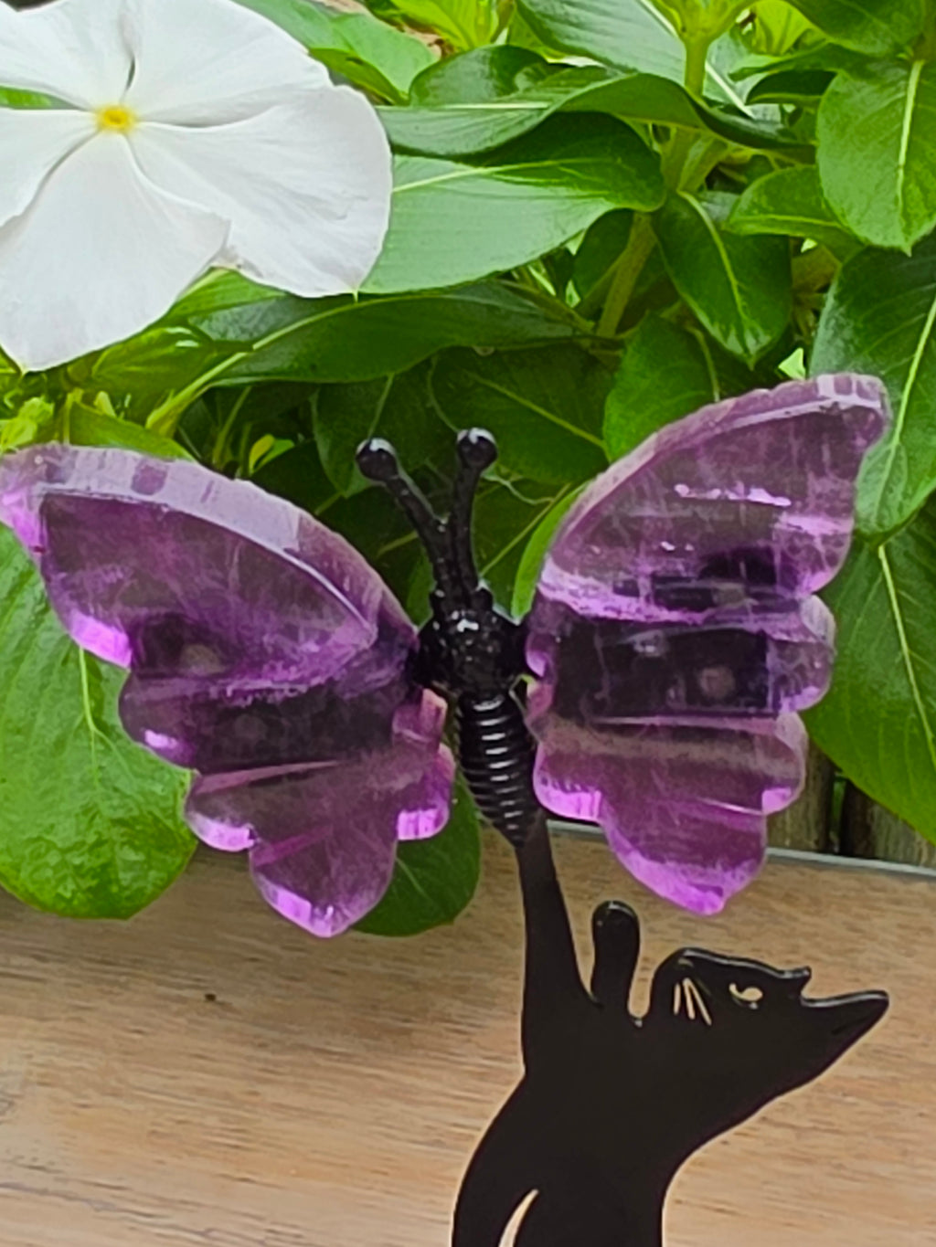 Cat Caughting Purple Fluorite Butterfly Crystal Carving