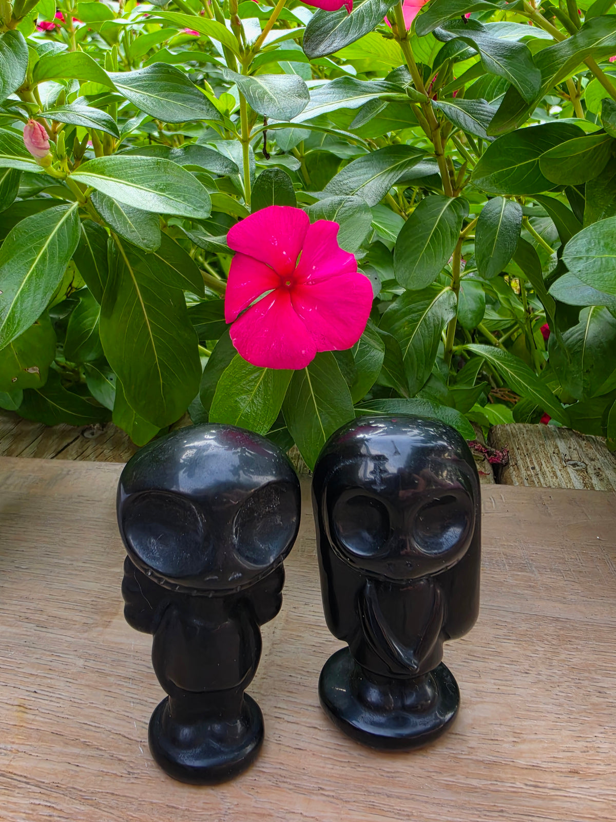 Black Obsidian Crystal Skully and Sally