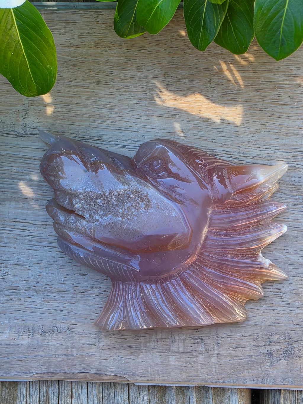 Carnelian Druzy Agate Crystal Wolf