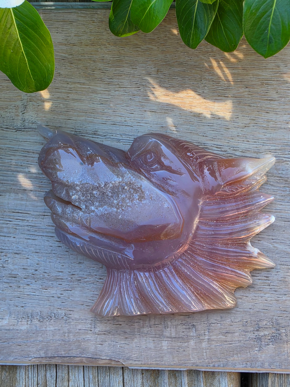 Carnelian Druzy Agate Crystal Wolf