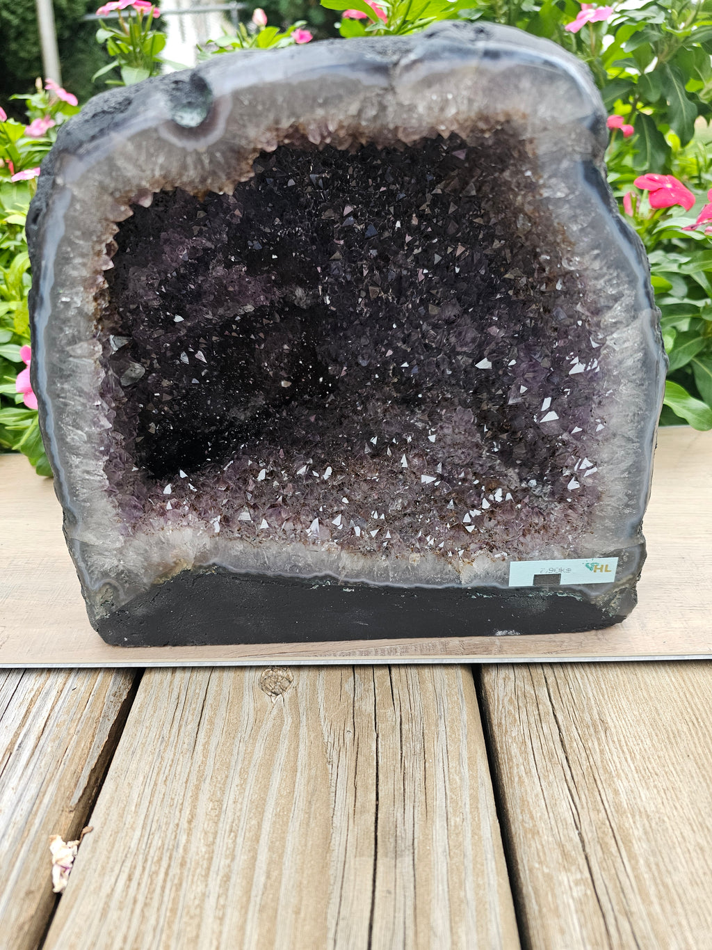 Amethyst Raw Crystal Cathedral - 8" Natural Purple Geode Specimen