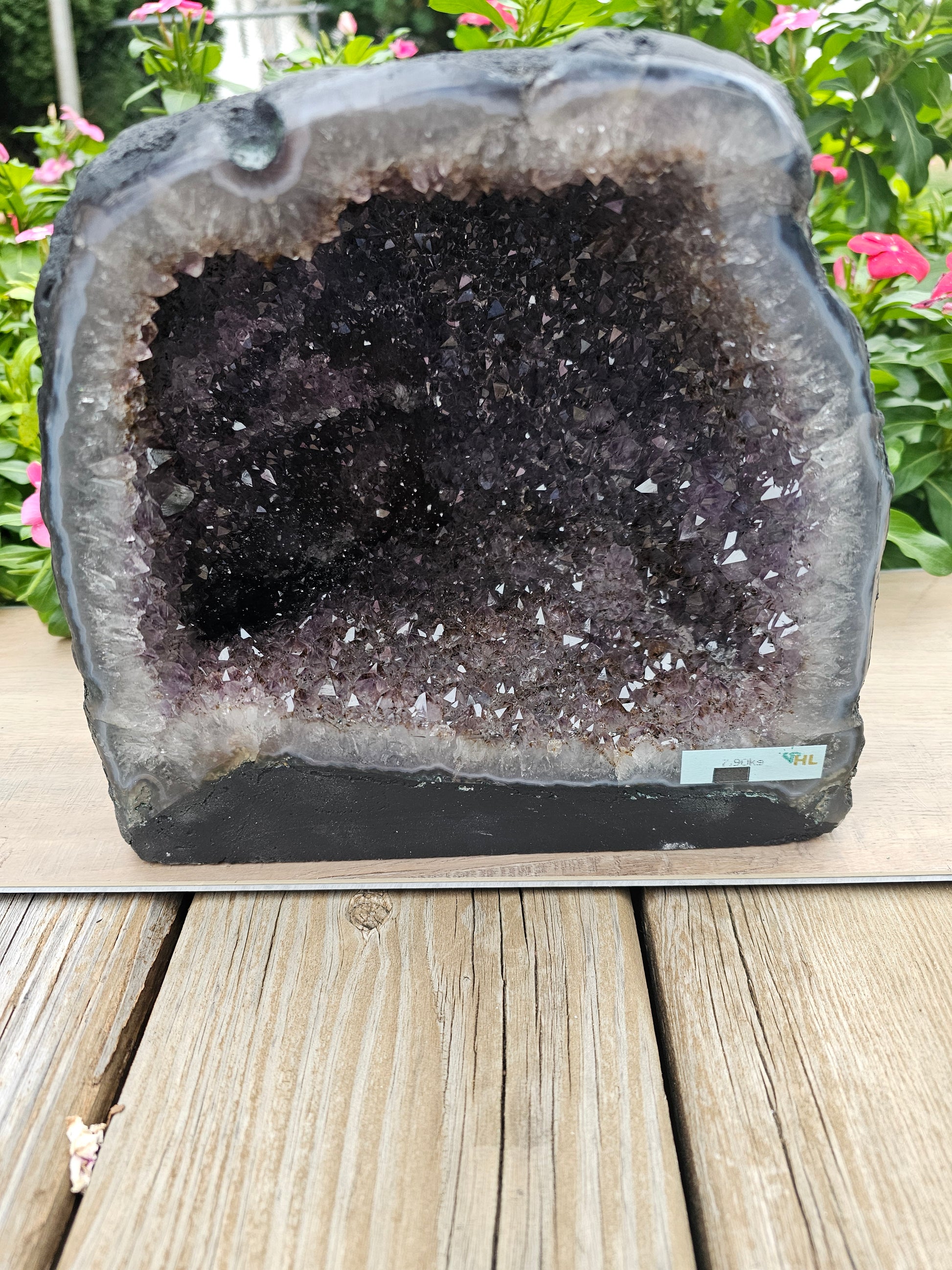 Amethyst Raw Crystal Cathedral - 8" Natural Purple Geode Specimen