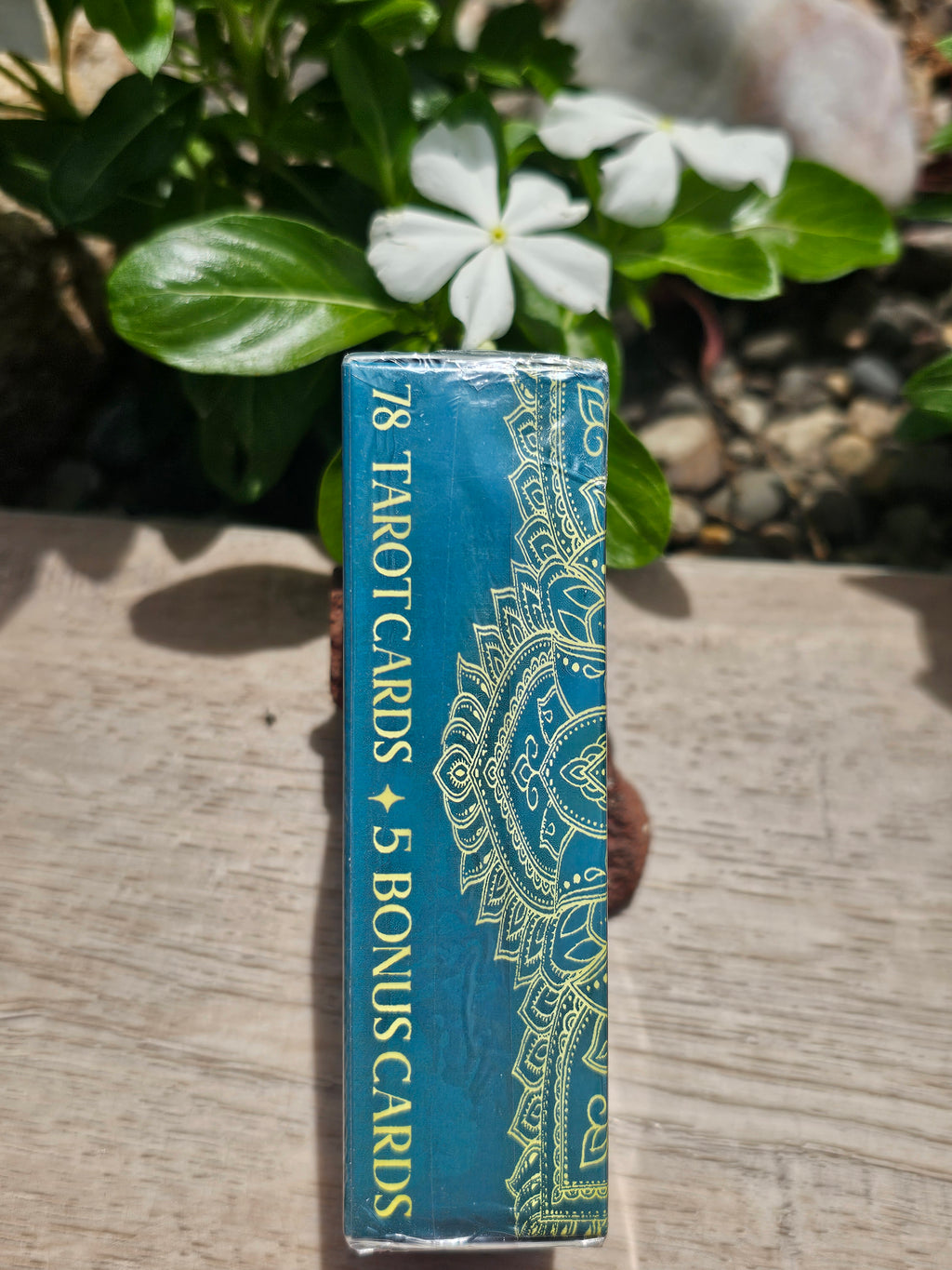 in 21 Tarot Cards Deck