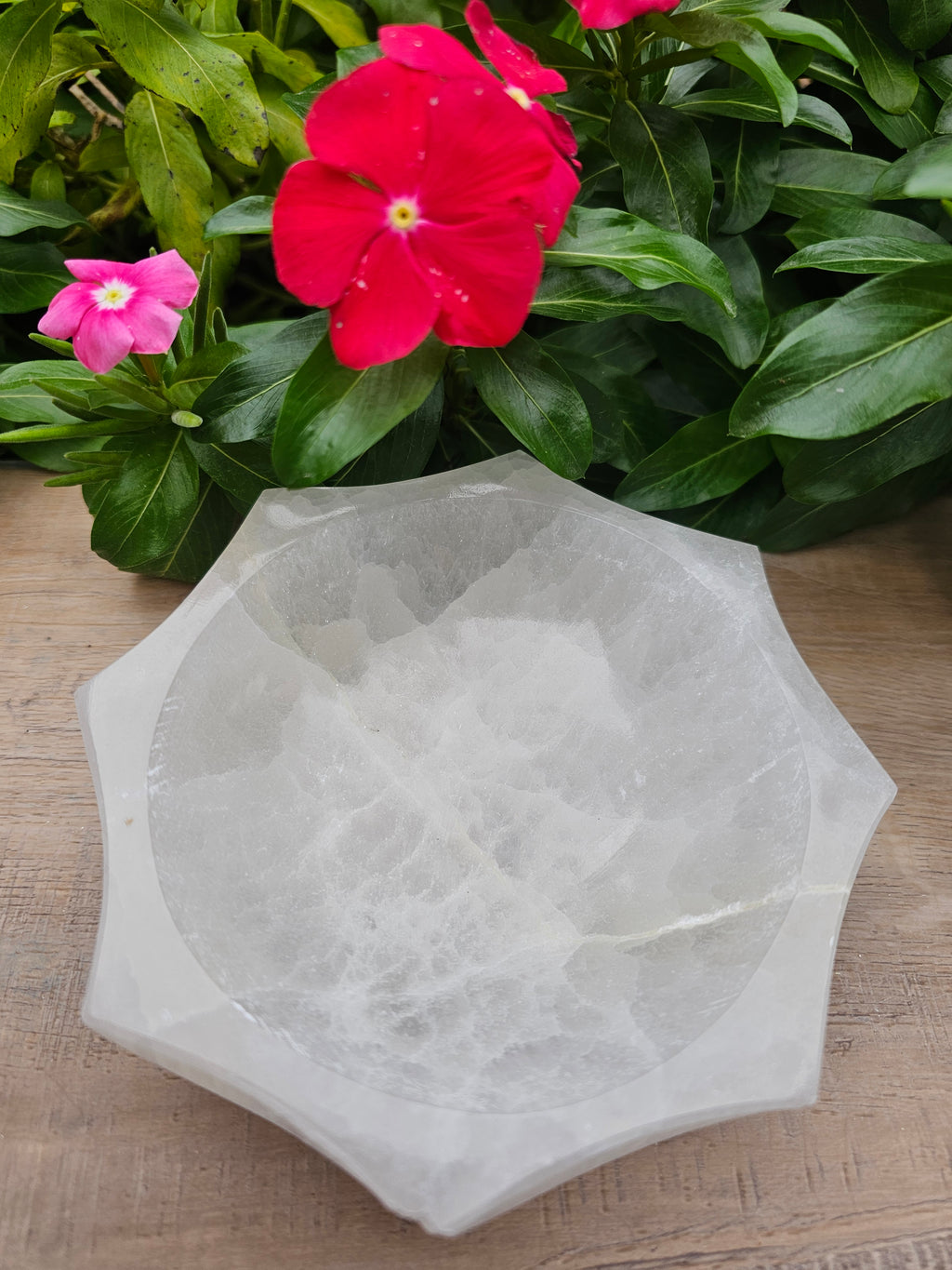 Natural Selenite Crystal Bowl 5" - White Cleansing Charging Bowl