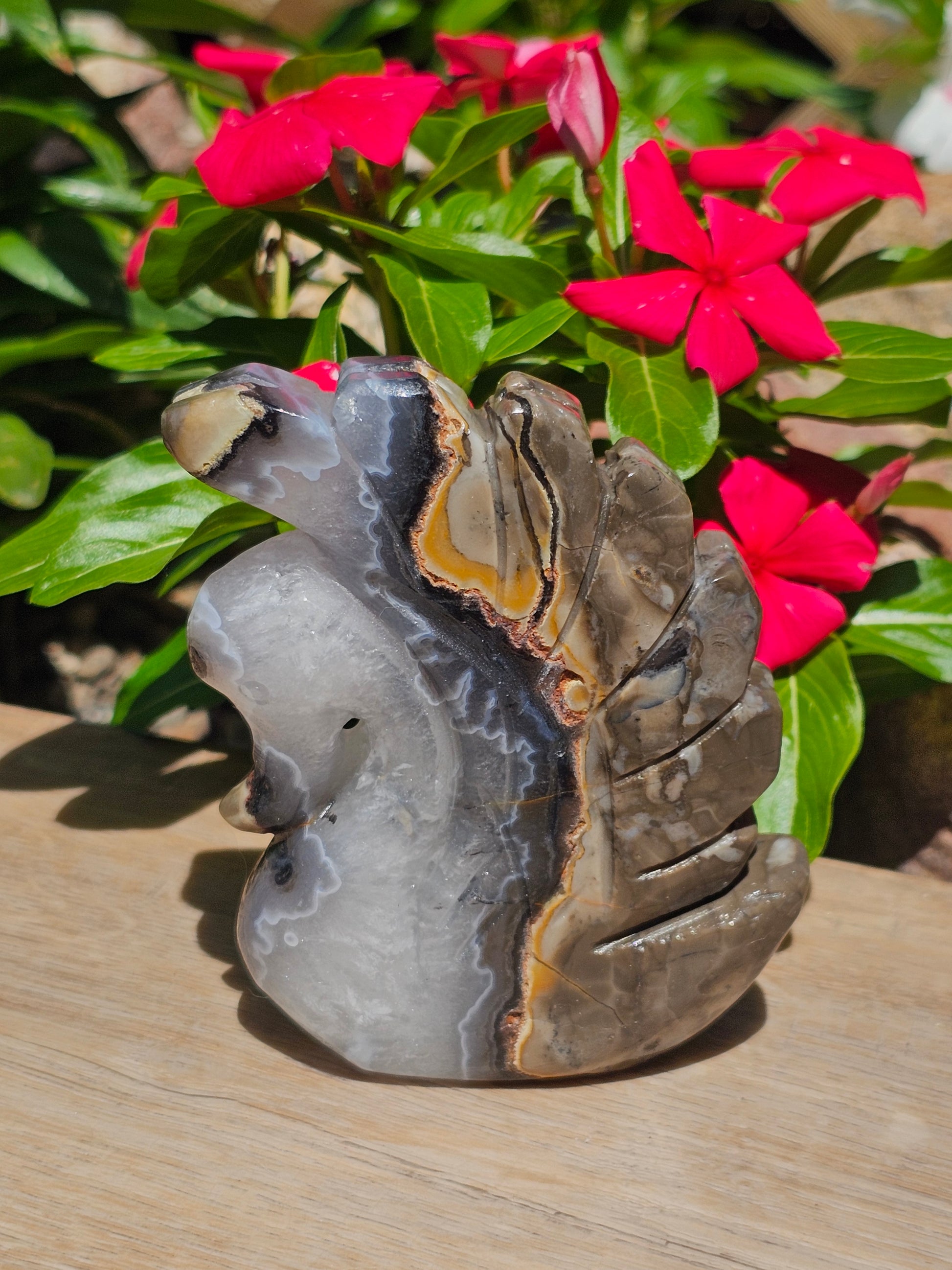 Volcano Agate Crystal Swan