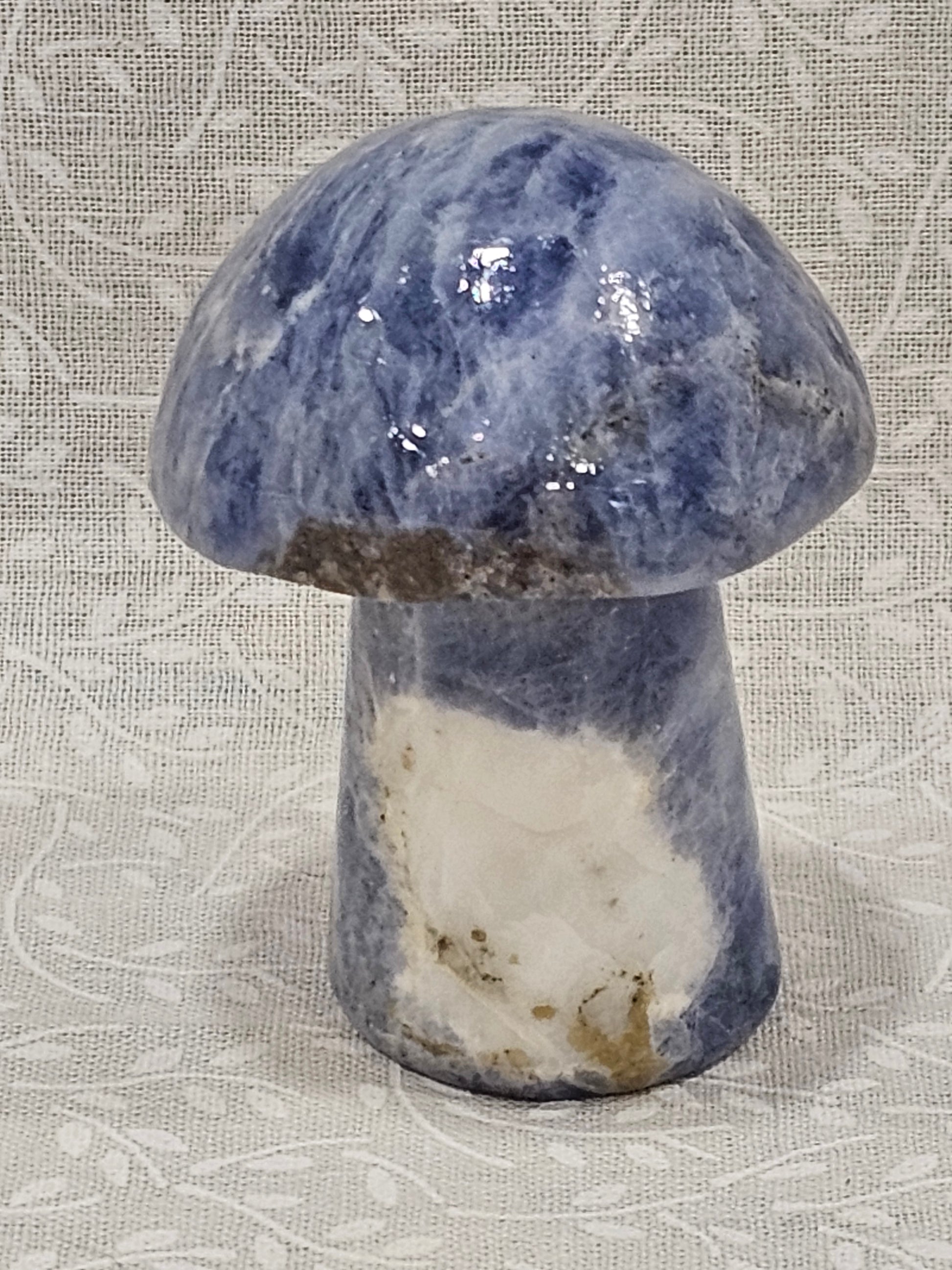 Sodalite Crystal Mushroom