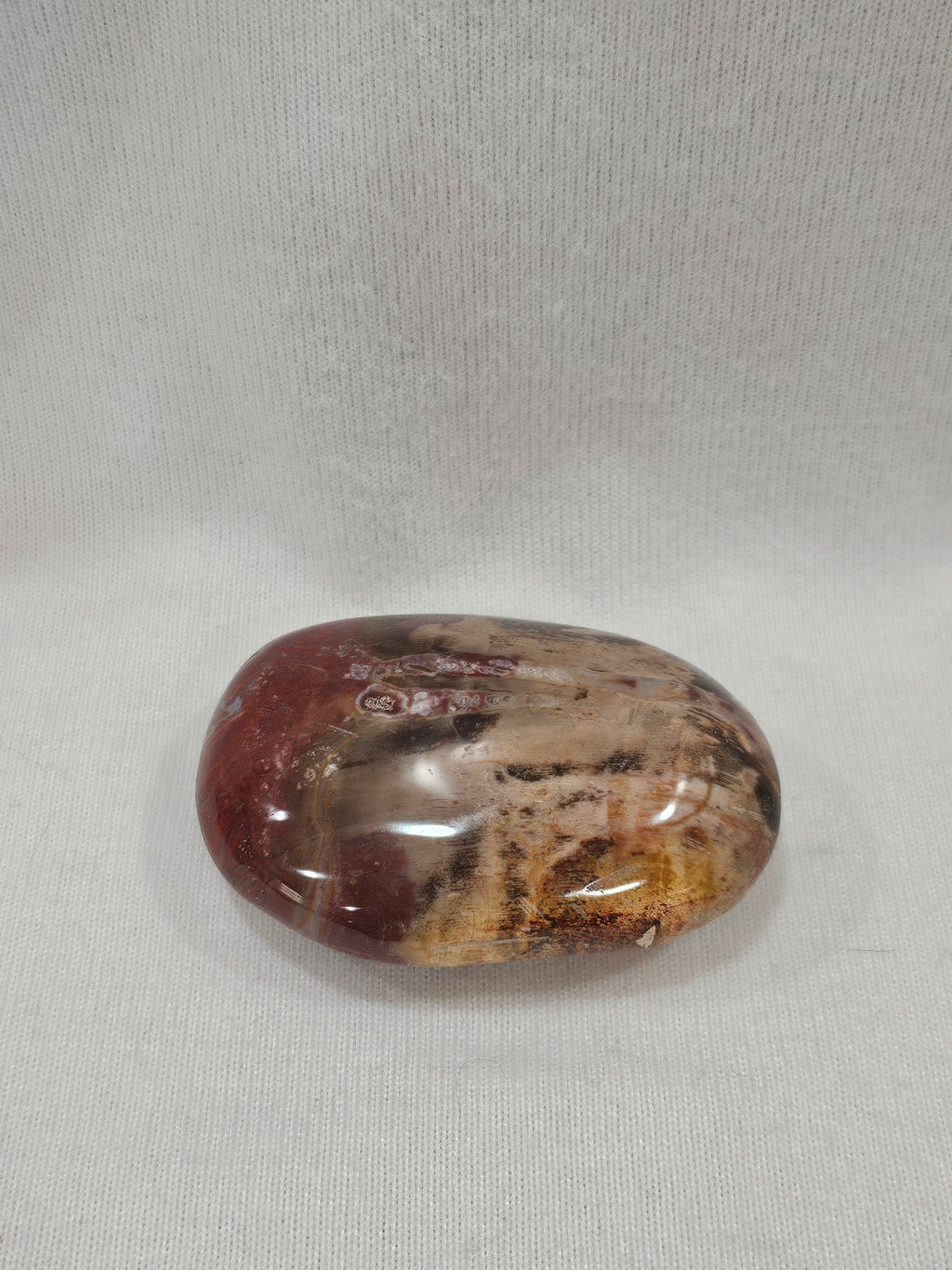 Petrified Wood Crystal Palm Stone