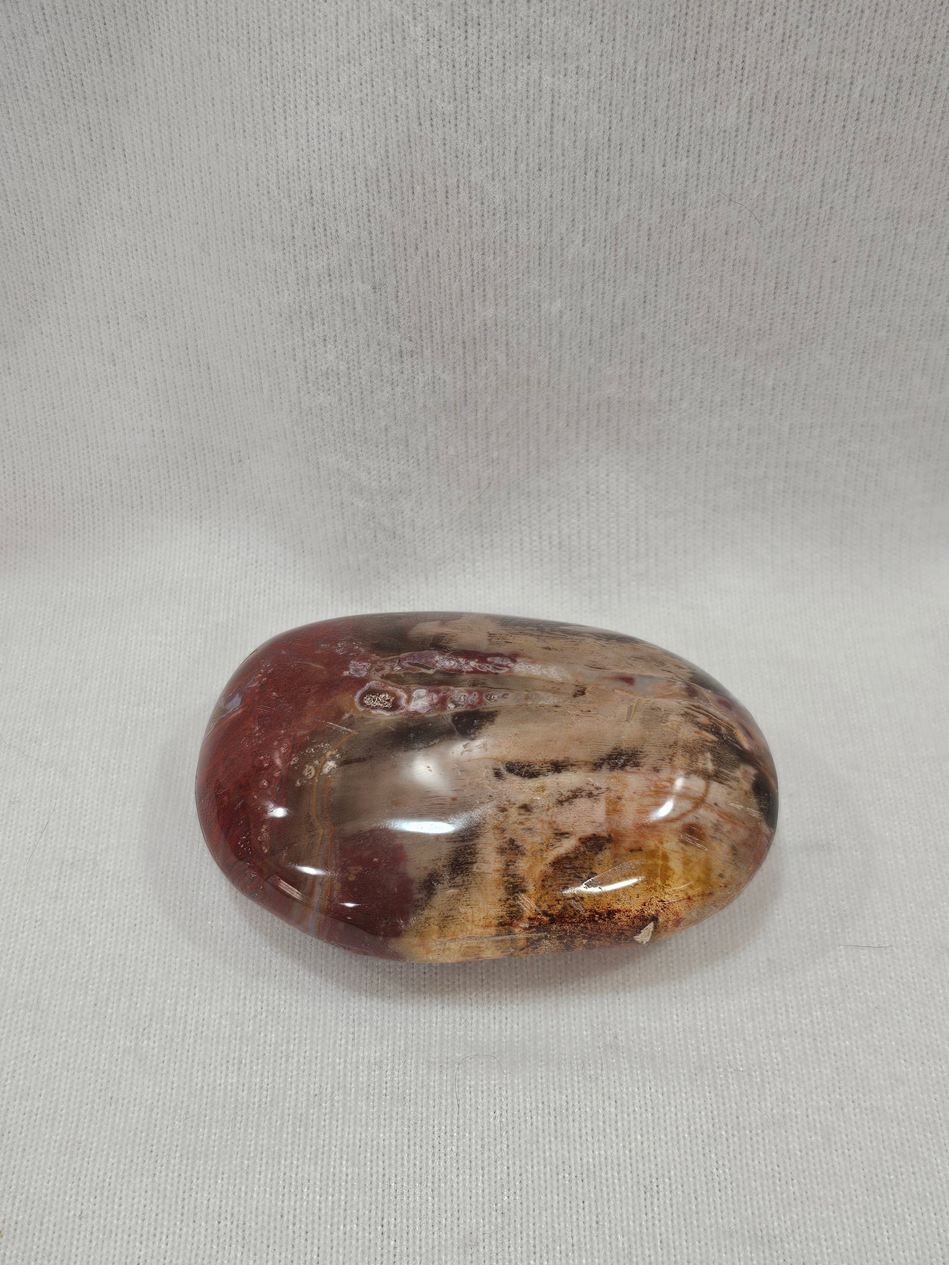 Petrified Wood Crystal Palm Stone