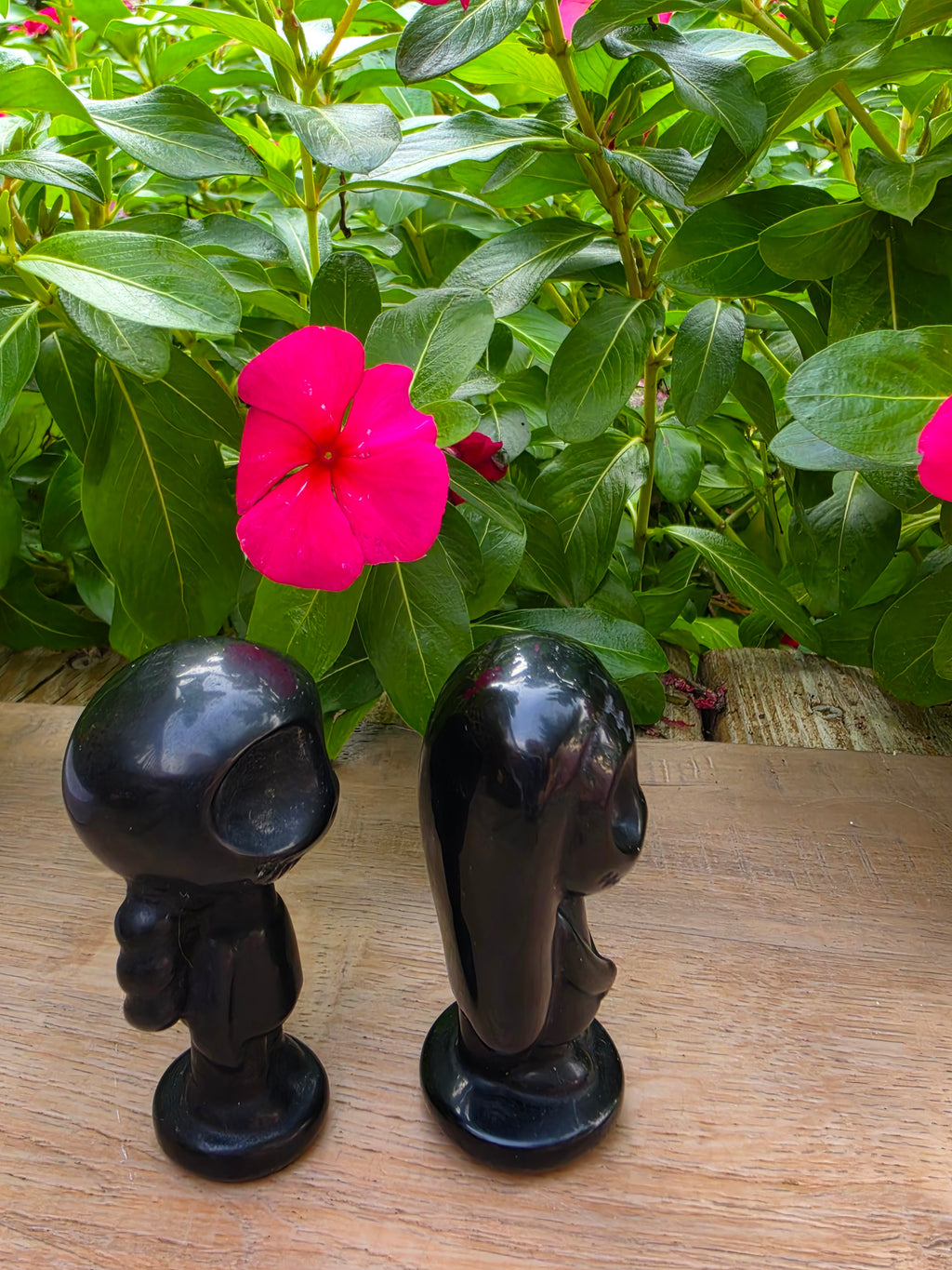 Black Obsidian Crystal Skully and Sally