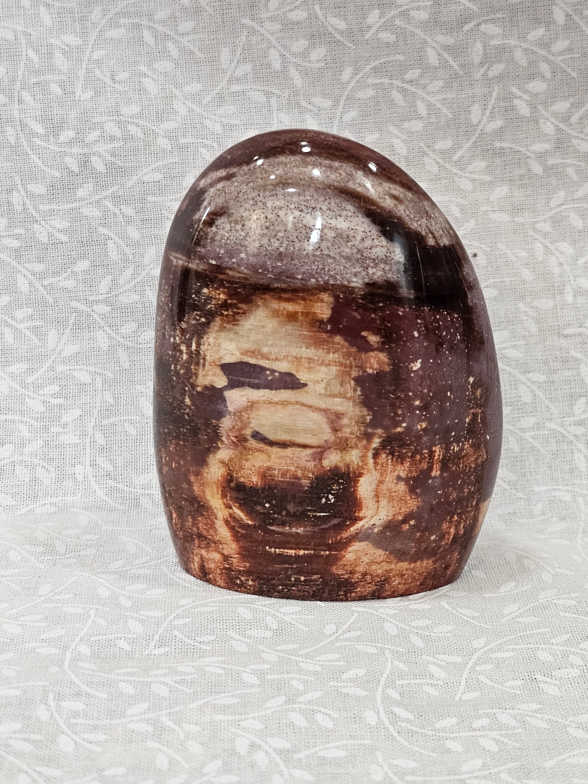 Petrified Wood Crystal Free Form