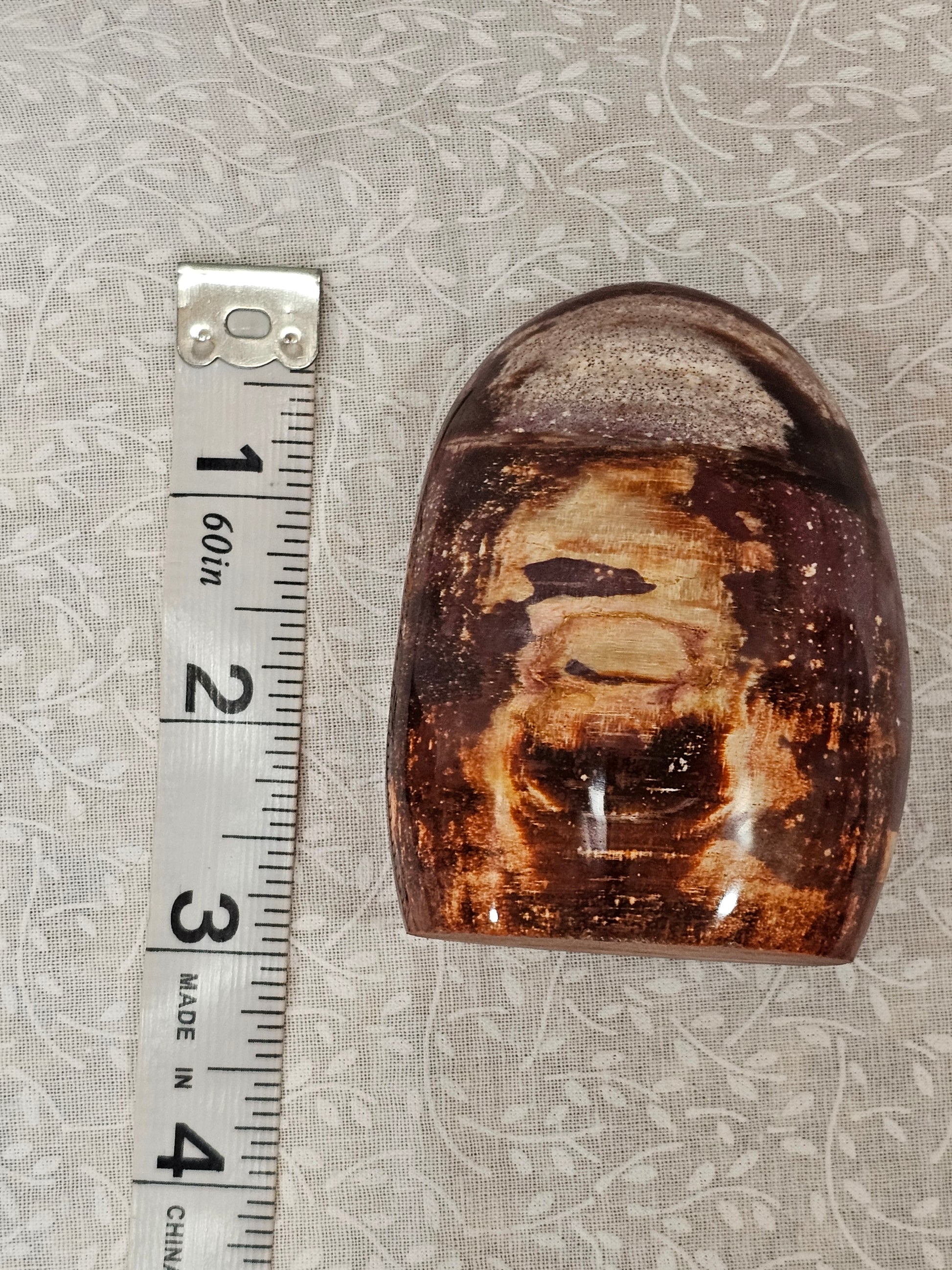 Petrified Wood Crystal Free Form