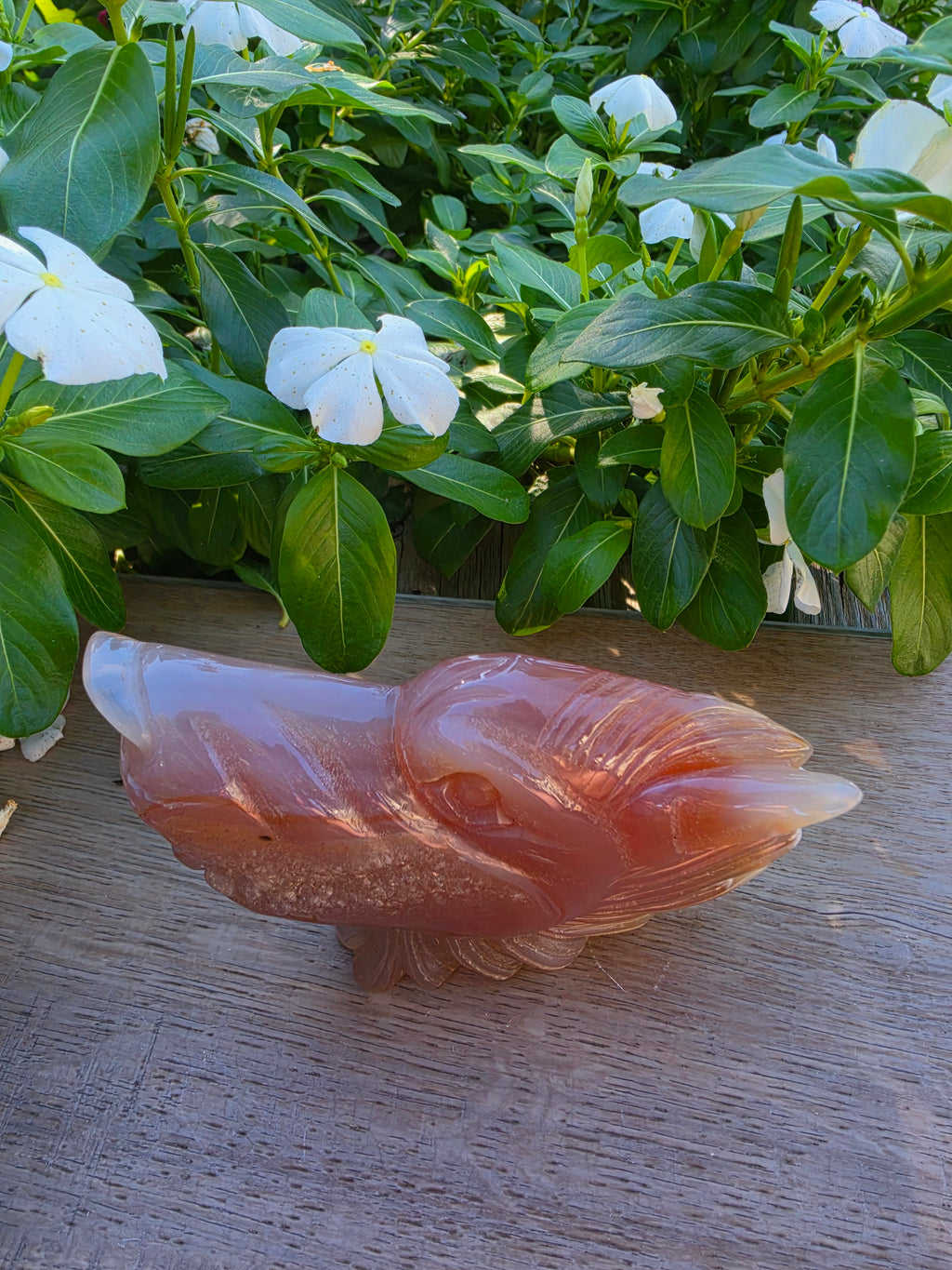 Carnelian Druzy Agate Crystal Wolf