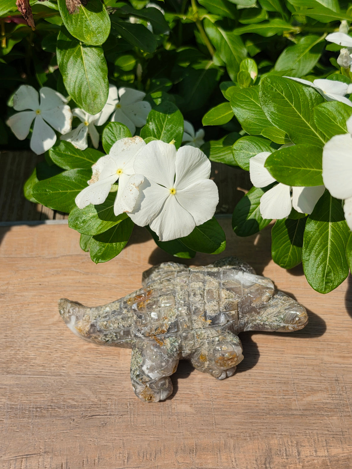 Flower Agate Crystal Crocodile