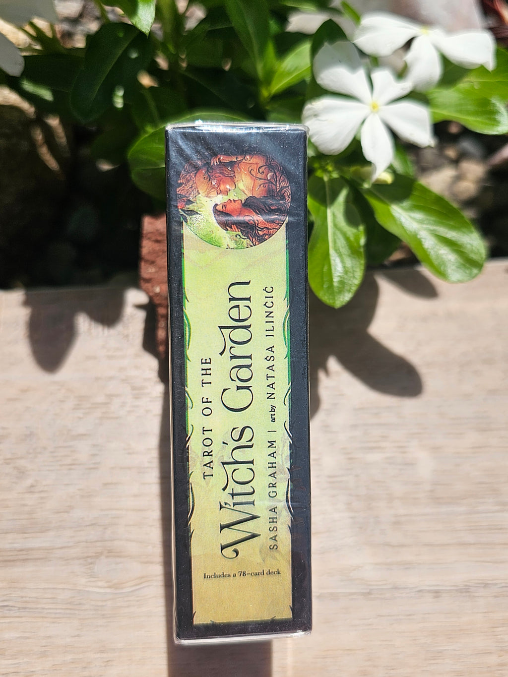 Tarot Of The Witch's Garden Cards Deck