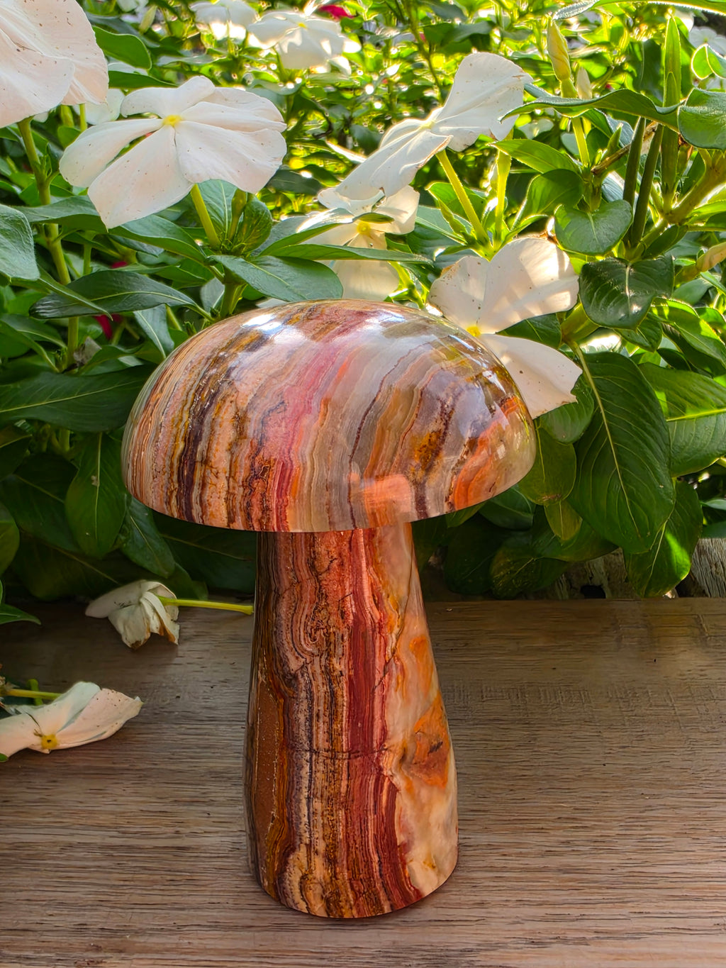 Onyx Crystal Mushroom