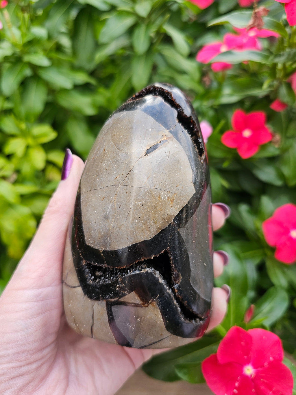 Septarian Dragon Egg - Natural Polished Stone 5" Tall