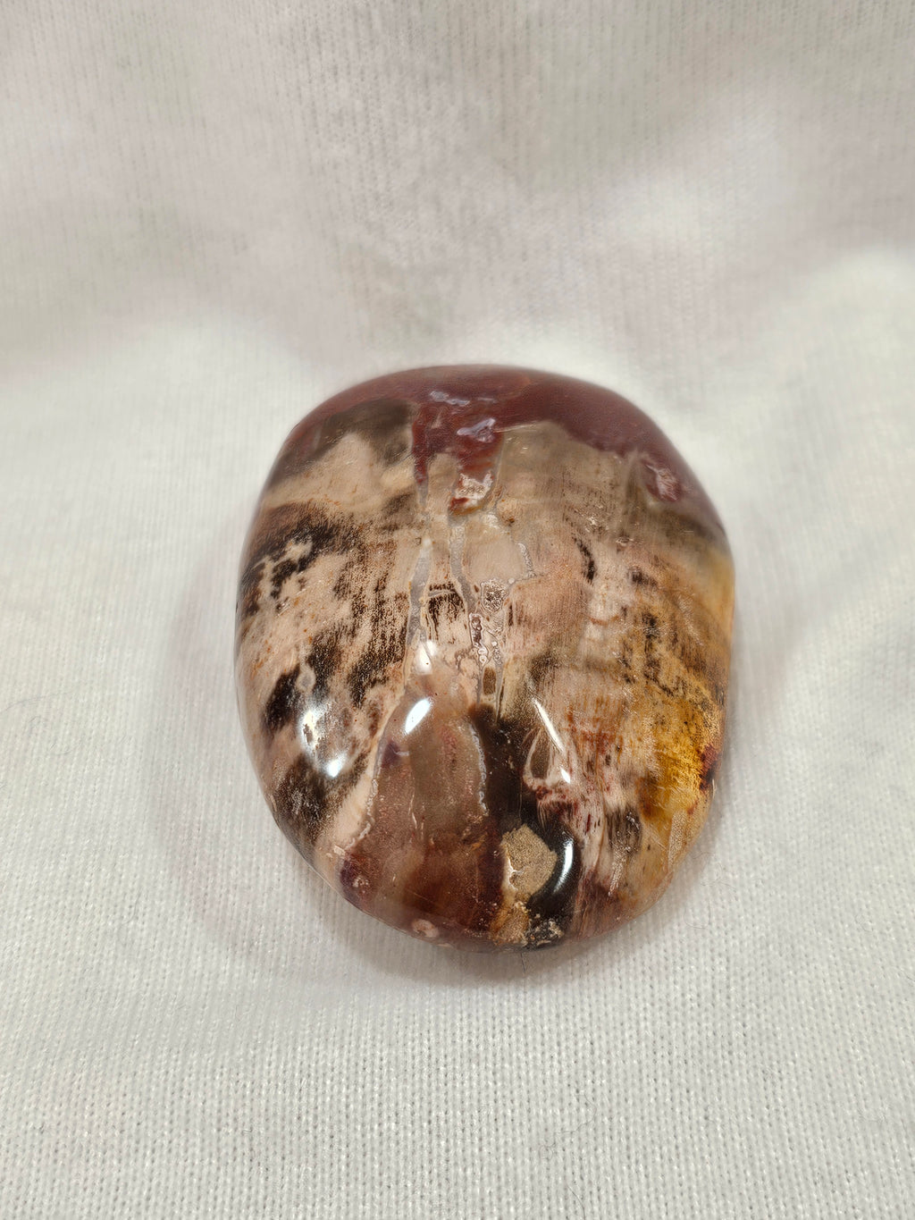 Petrified Wood Crystal Palm Stone