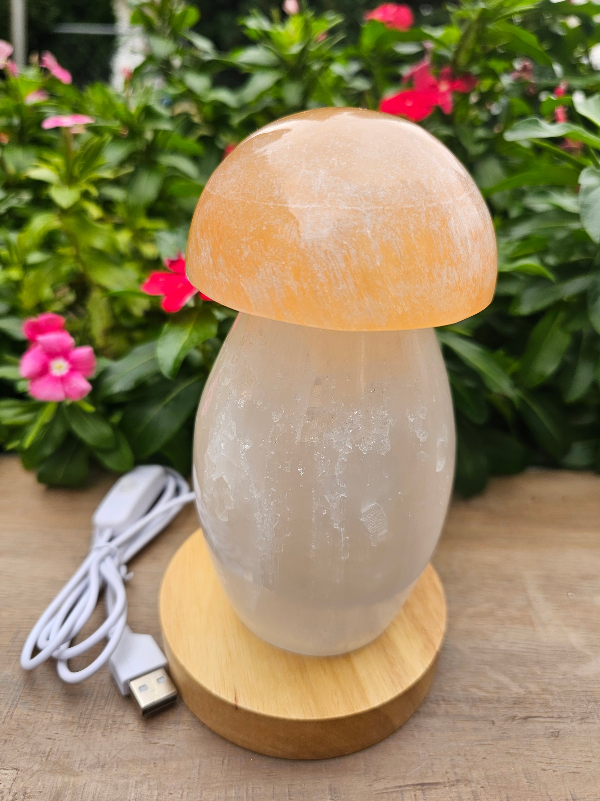 Selenite Crystal Mushroom with Light - Natural Healing Stone Lamp