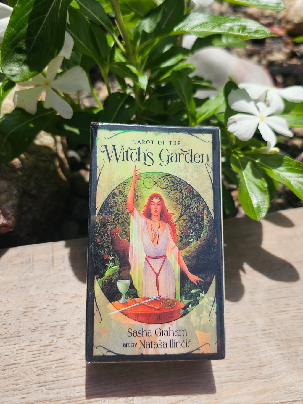 Tarot Of The Witch's Garden Cards Deck