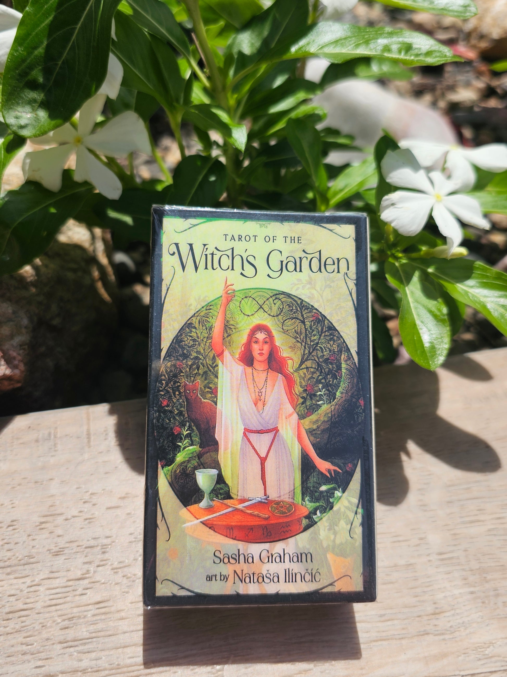 Tarot Of The Witch's Garden Cards Deck