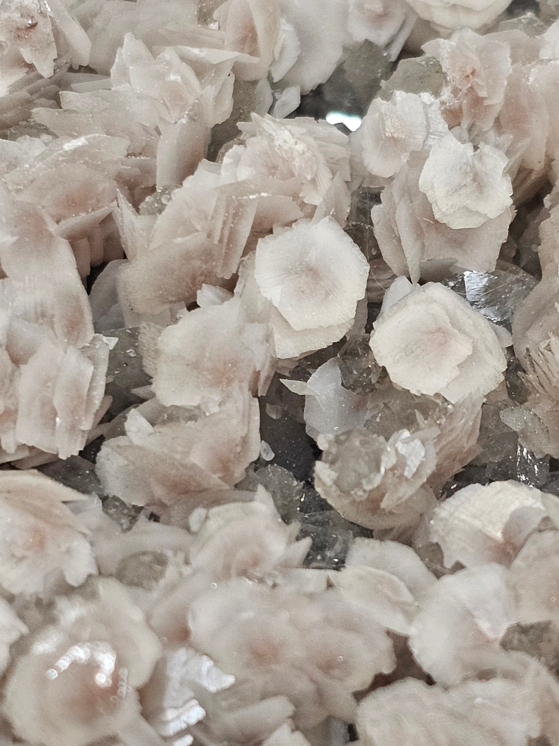 Flower Jungle Calcite Raw Crystal Cluster