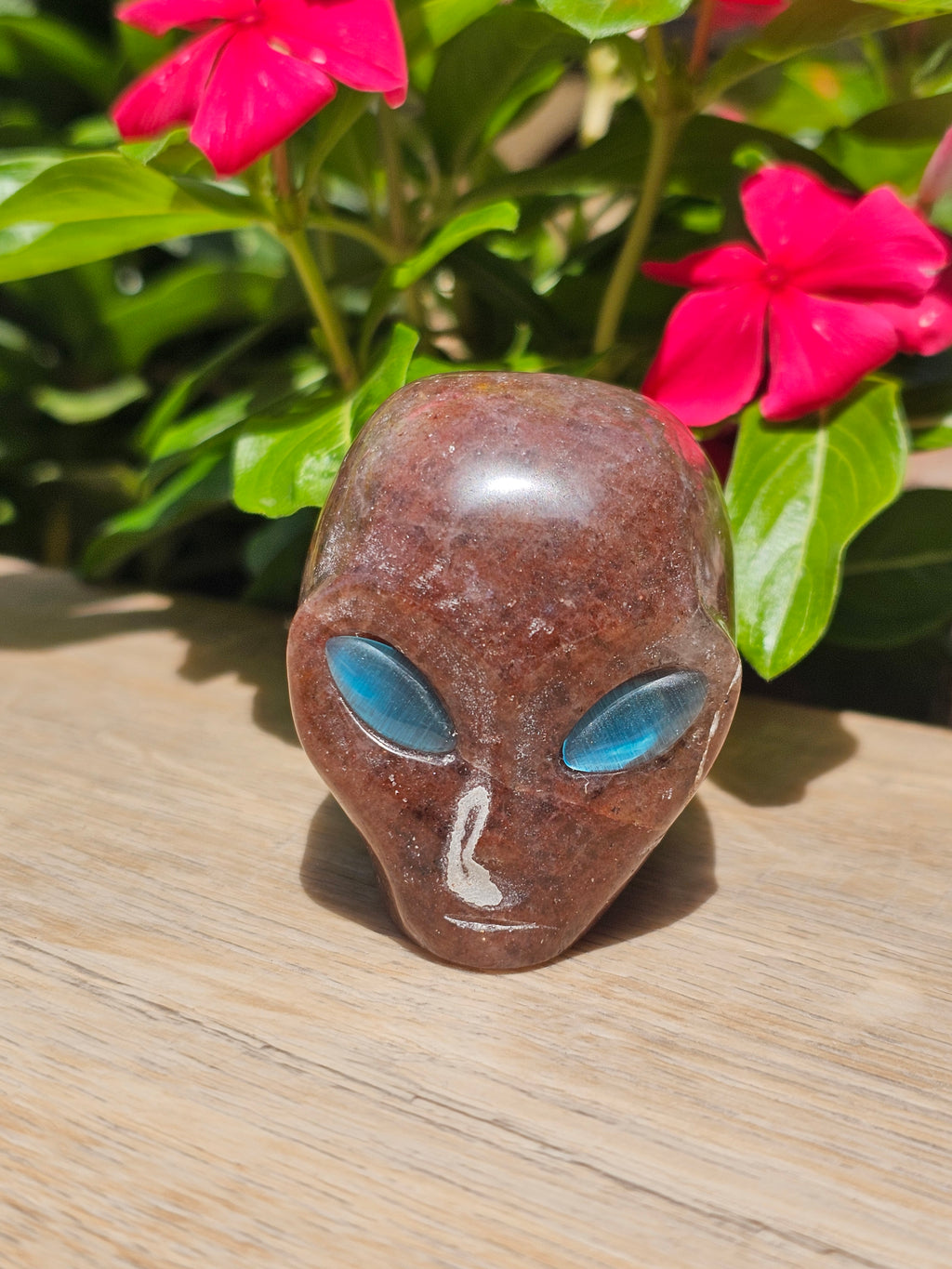 Red Garnet Crystal Skull with Labradorite Eyes
