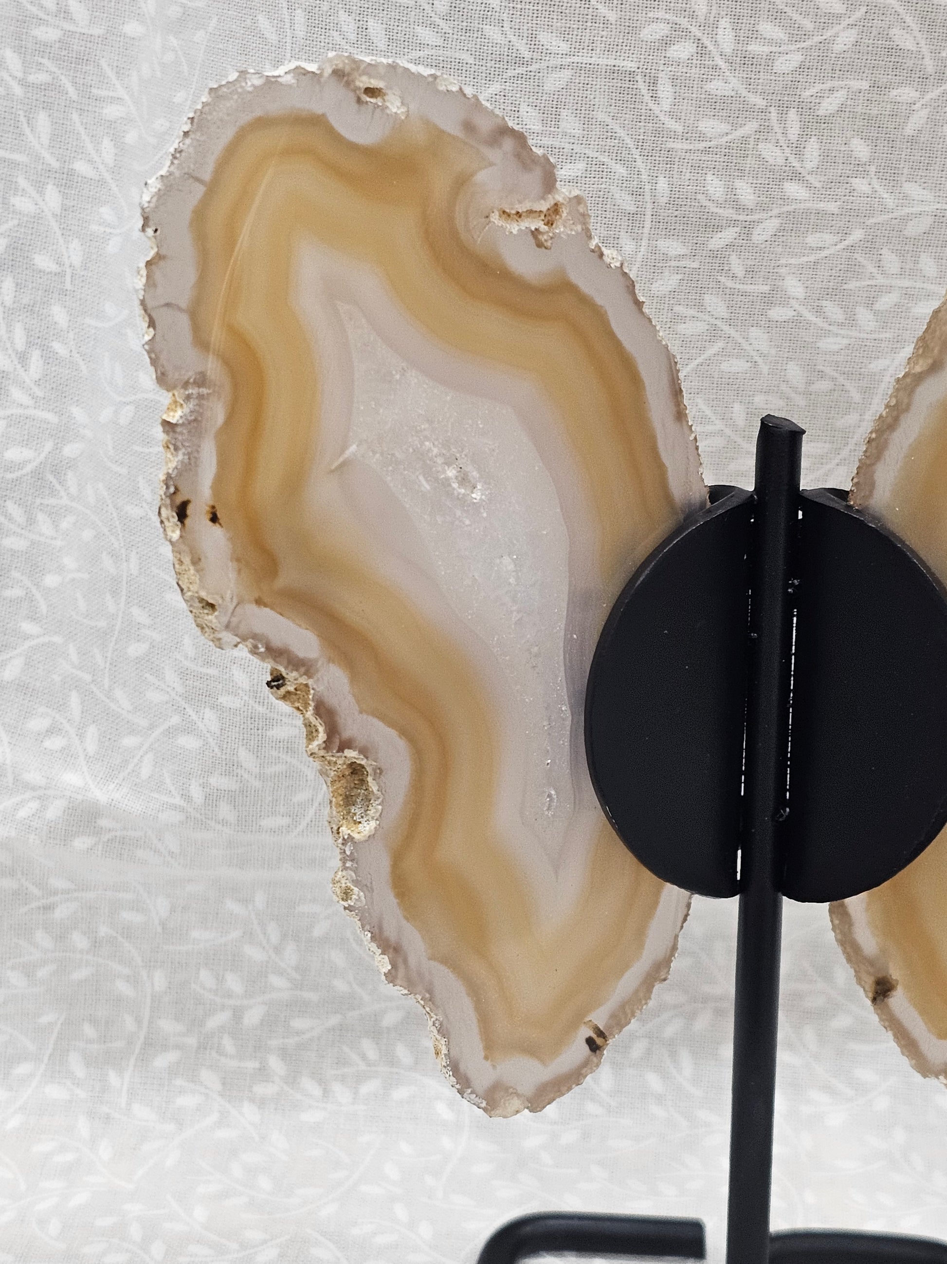 Agate Crystal Butterfly Wings on Stand