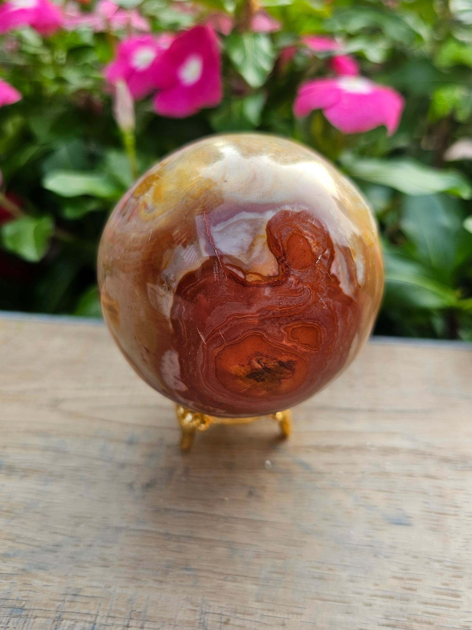 Petrified Wood Crystal Sphere