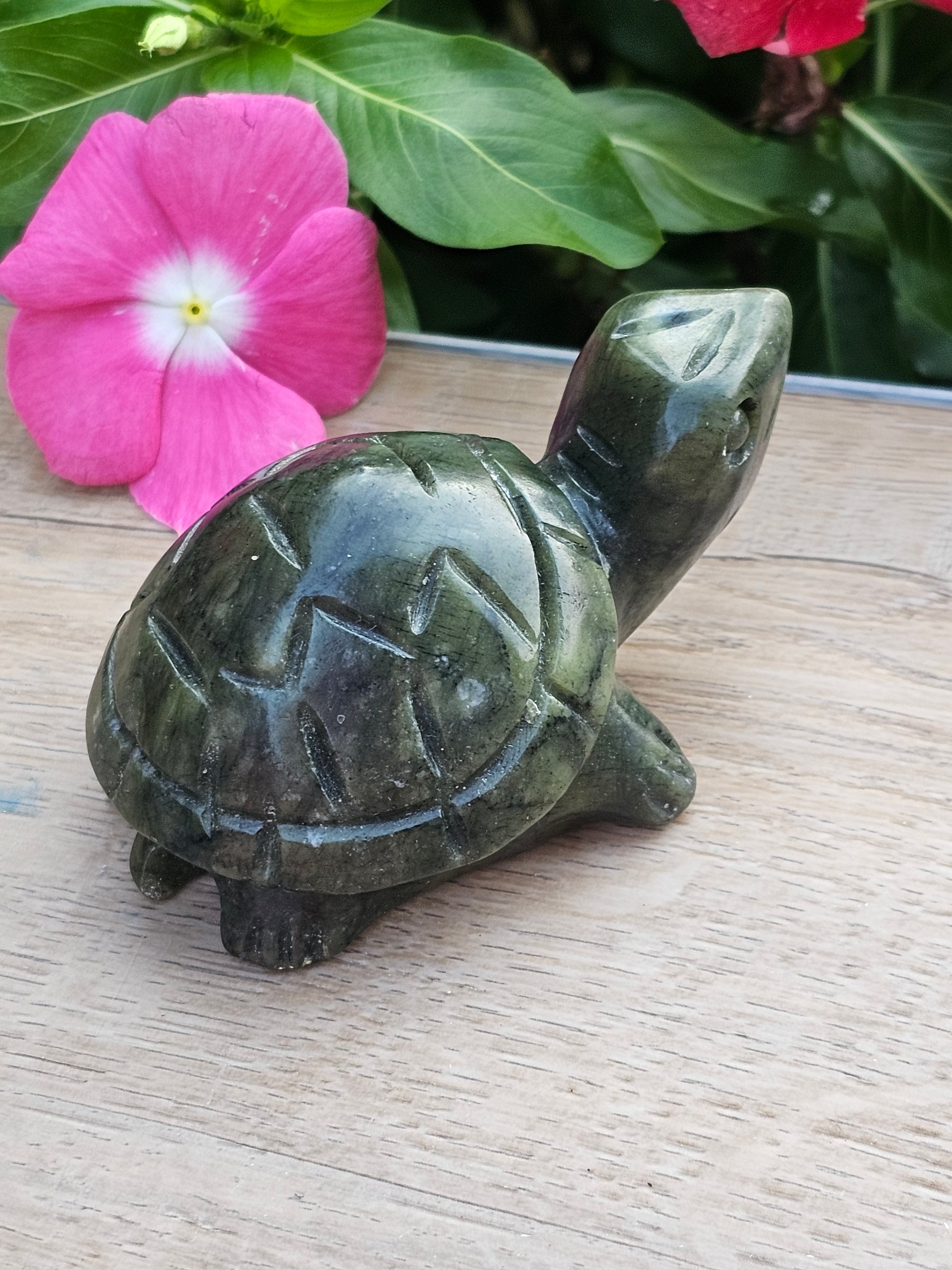 Serpentine Crystal Turtle