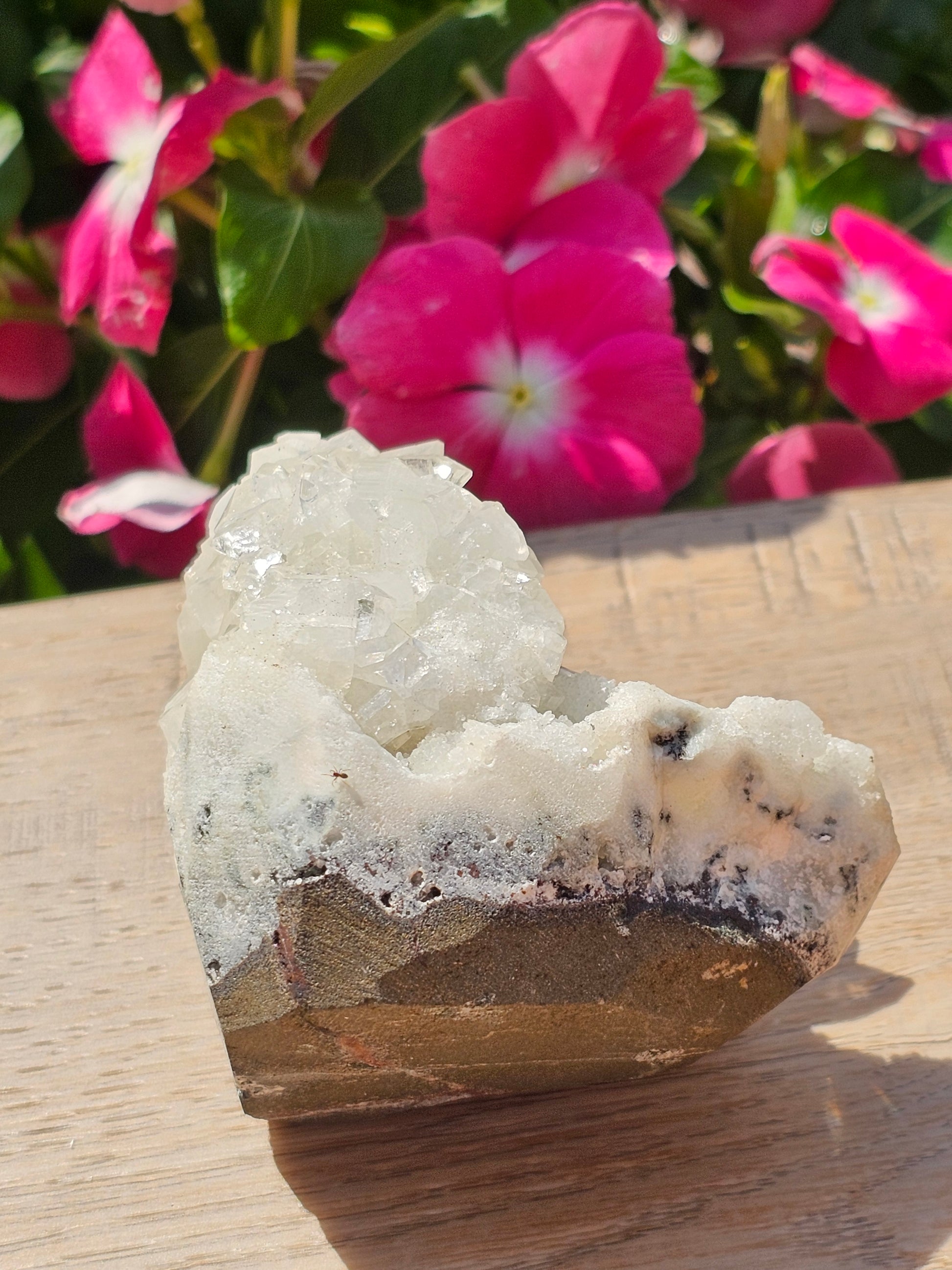 Apophyllite Raw Crystal Cluster