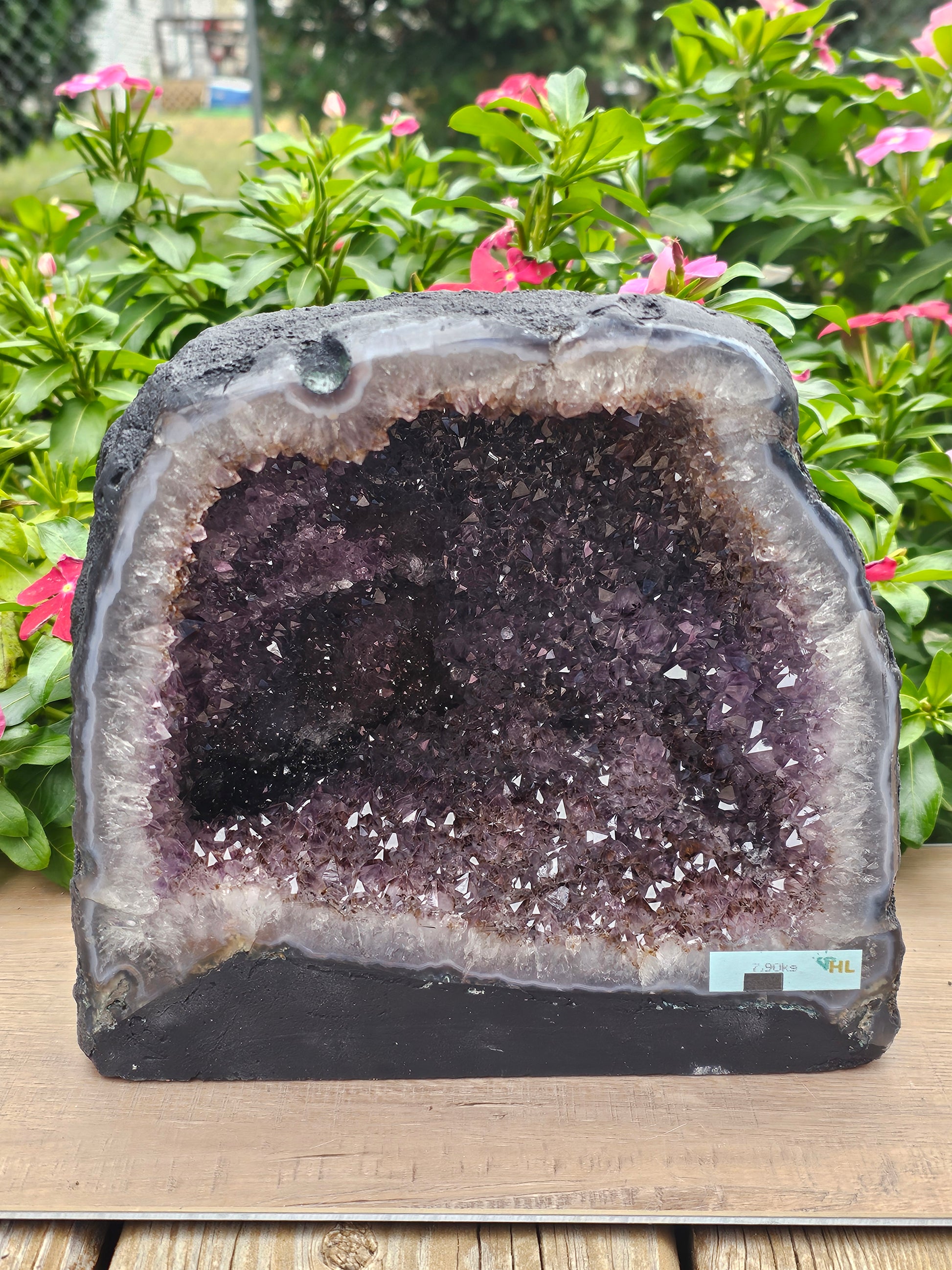 Amethyst Raw Crystal Cathedral - 8" Natural Purple Geode Specimen