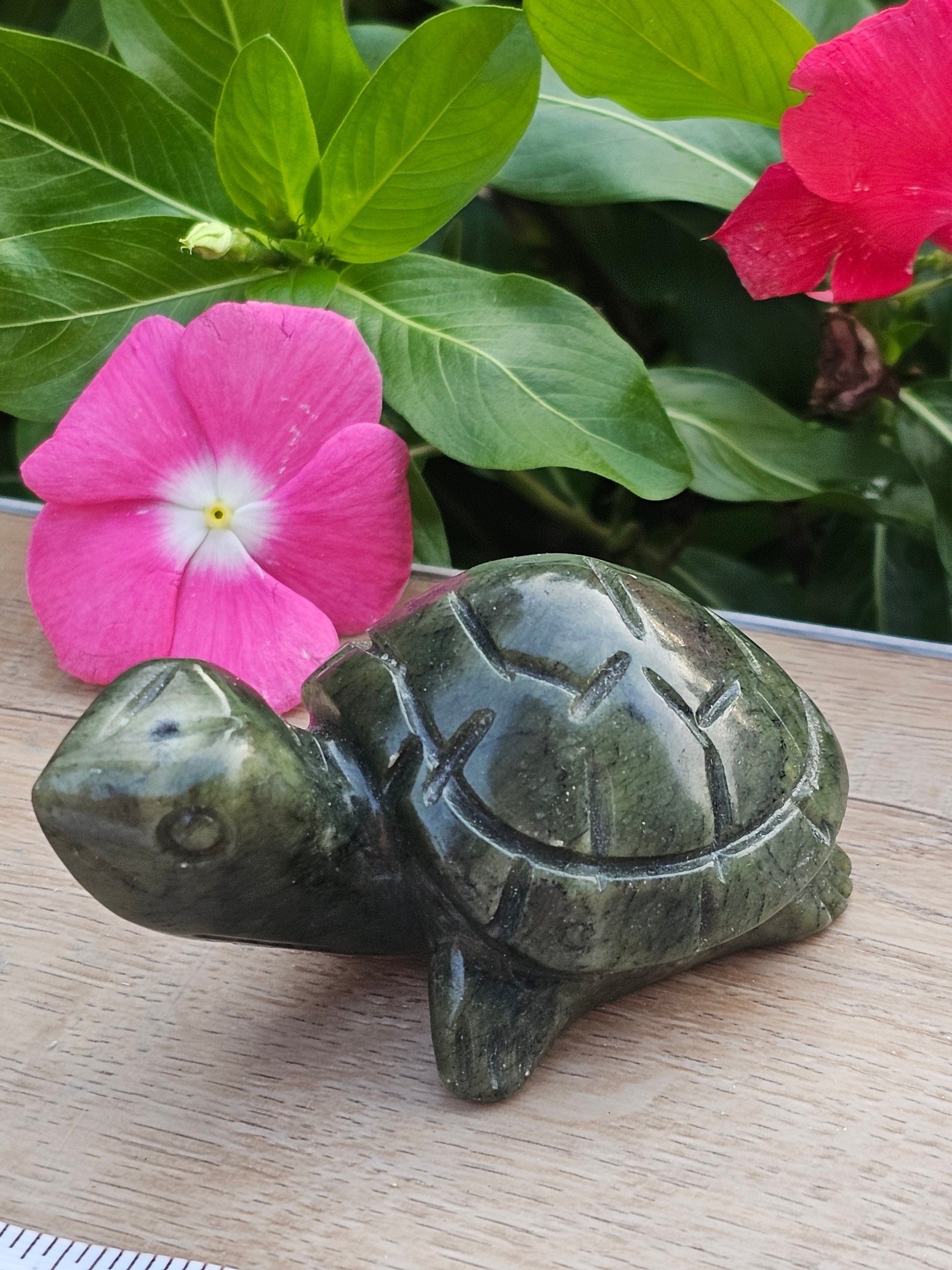 Serpentine Crystal Turtle