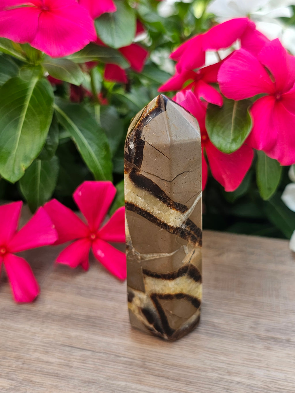 Septarian Crystal Tower Healing Stone Point