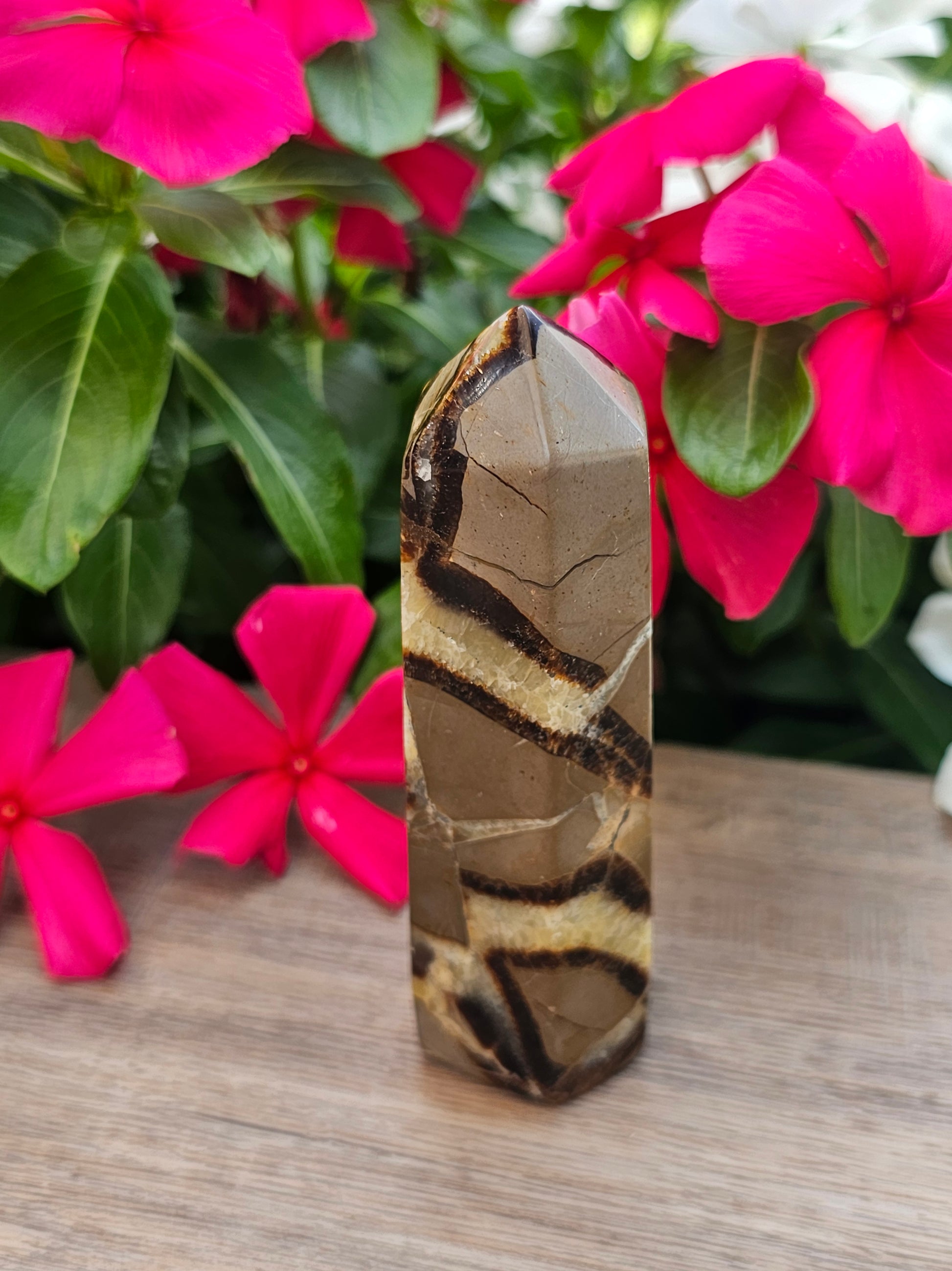 Septarian Crystal Tower Healing Stone Point