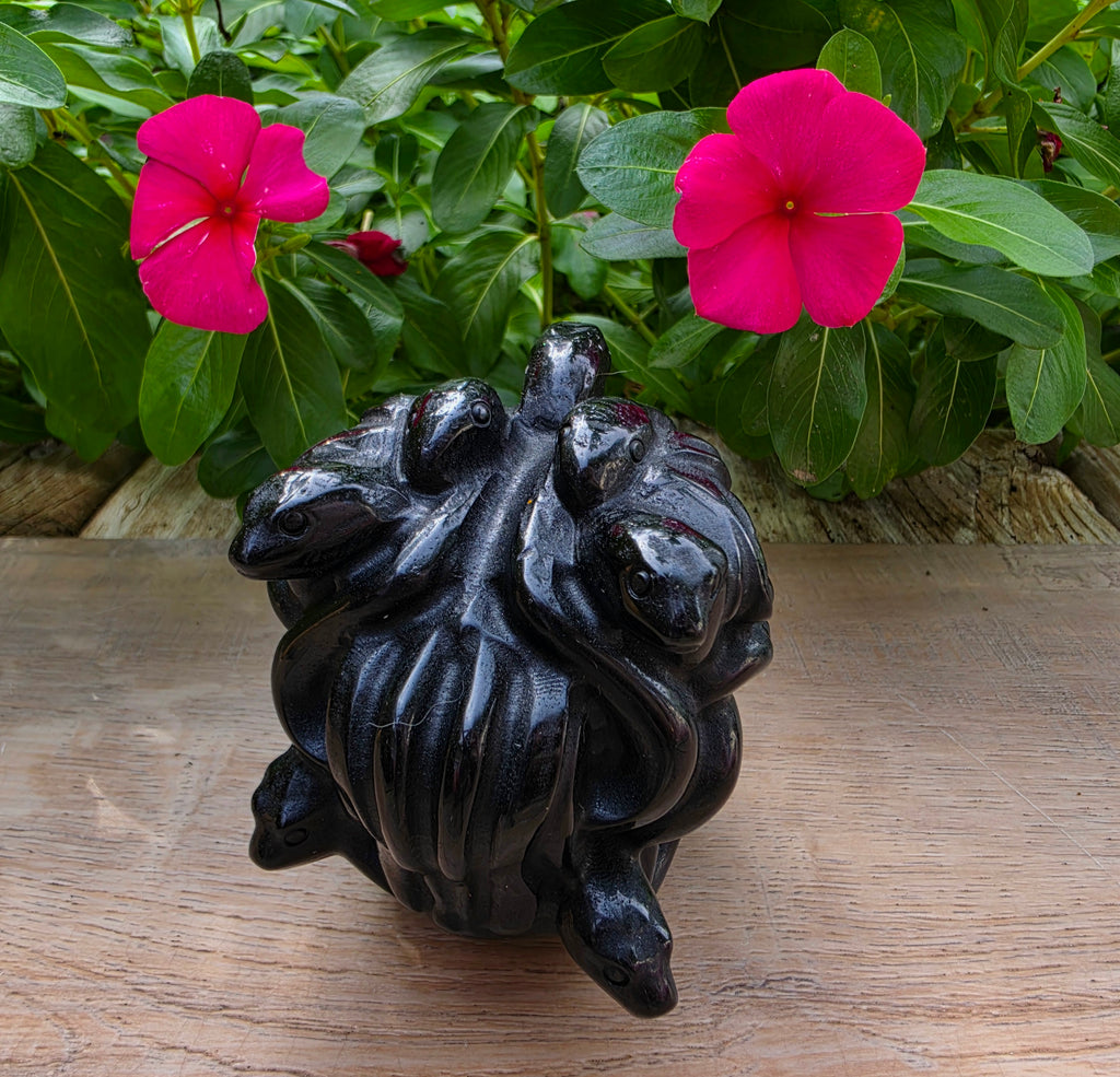 Black Obsidian Crystal Medusa