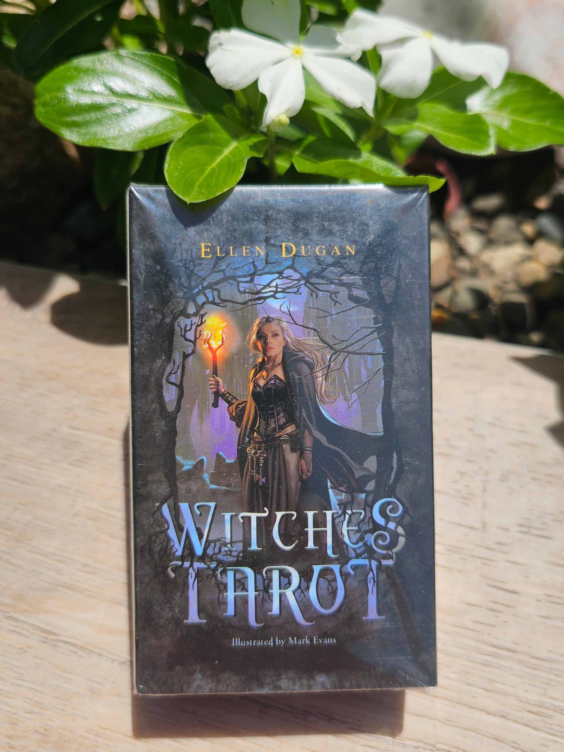 Witches Tarot Cards