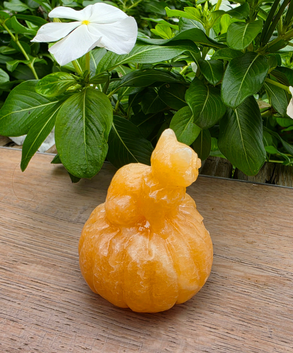 Orange Calcite Crystal Pumpkin with Cat