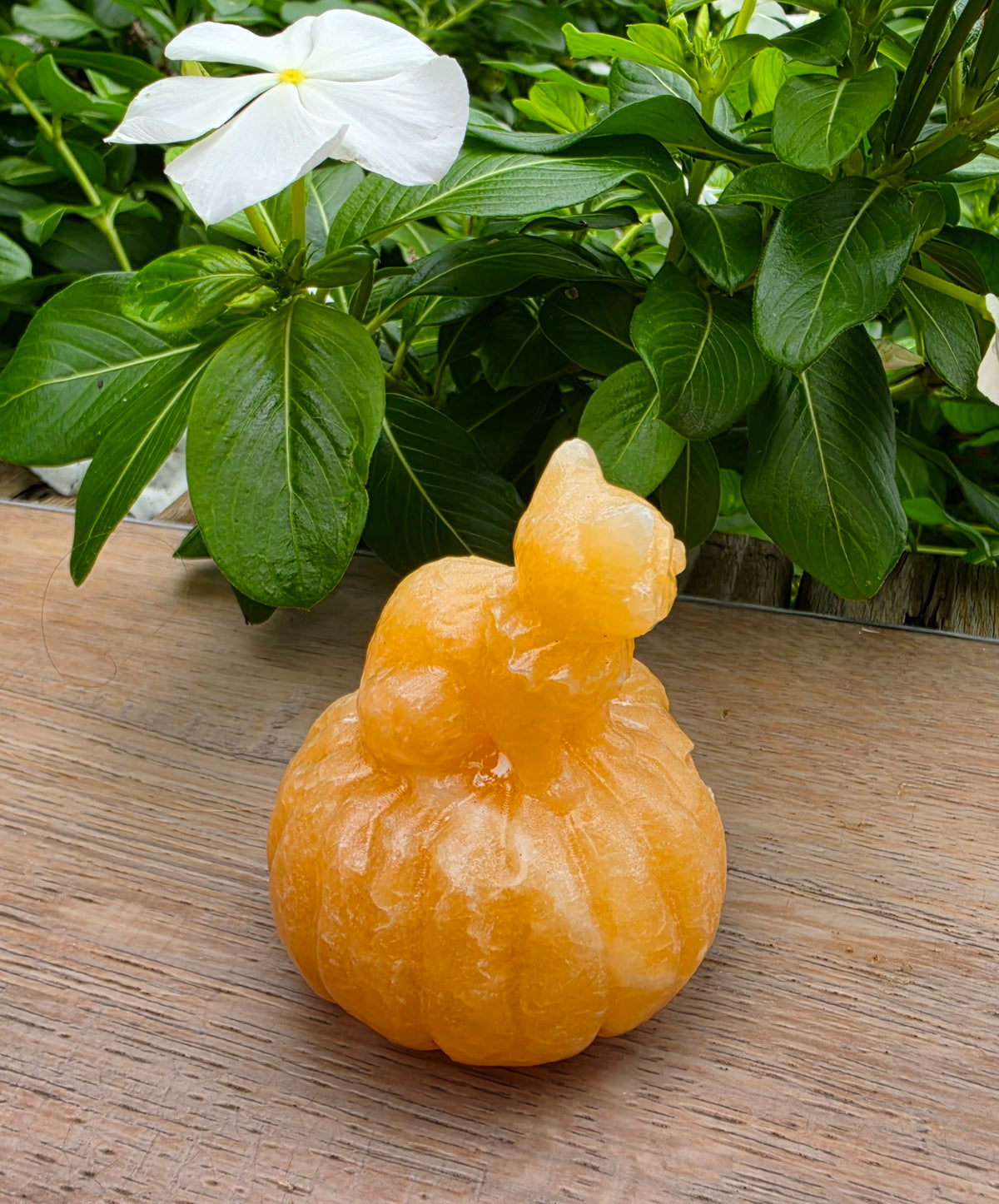 Orange Calcite Crystal Pumpkin with Cat