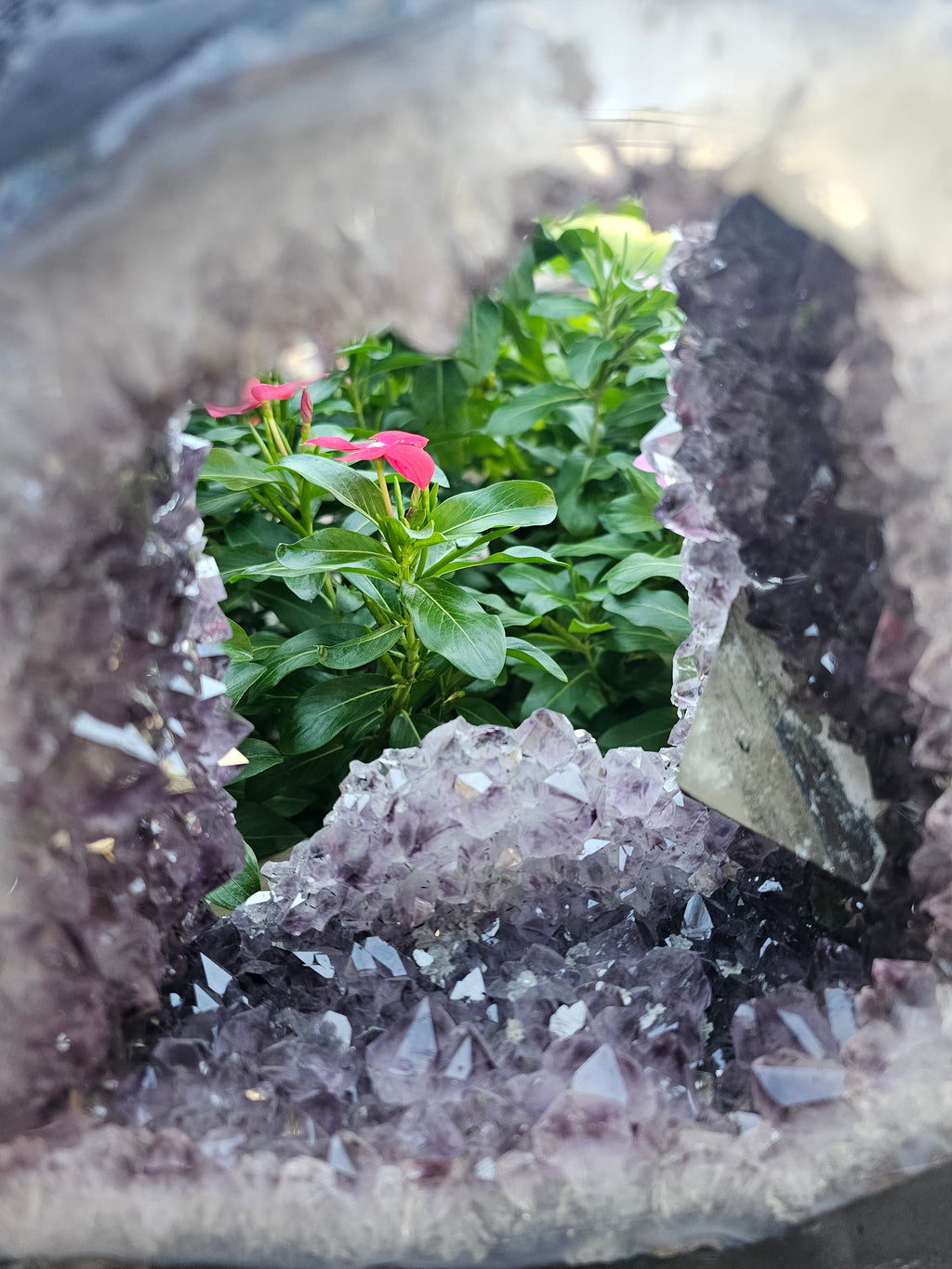 Amethyst Cathedral with Portal - 12.5" Tall Natural Crystal Geode