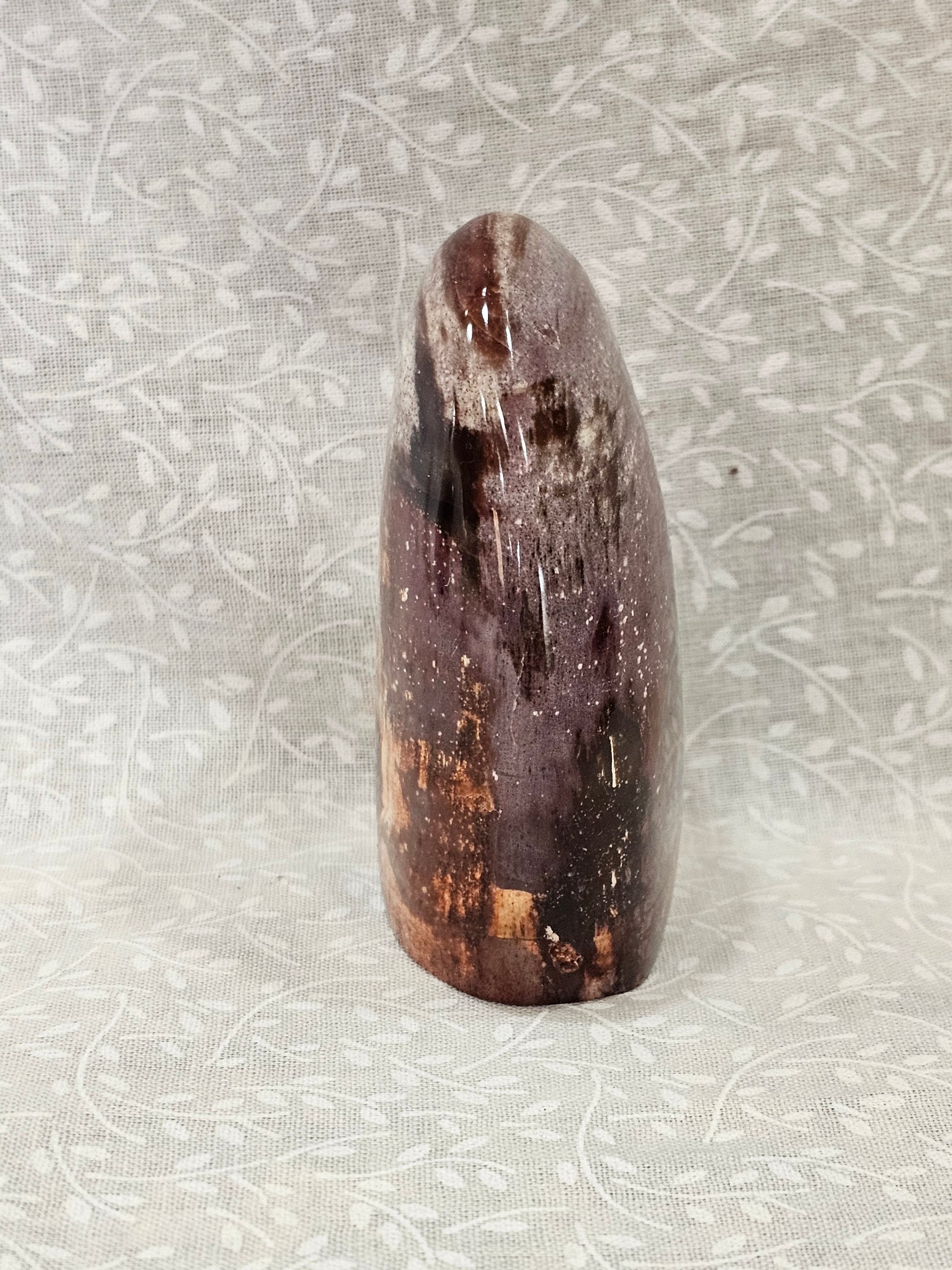 Petrified Wood Crystal Free Form
