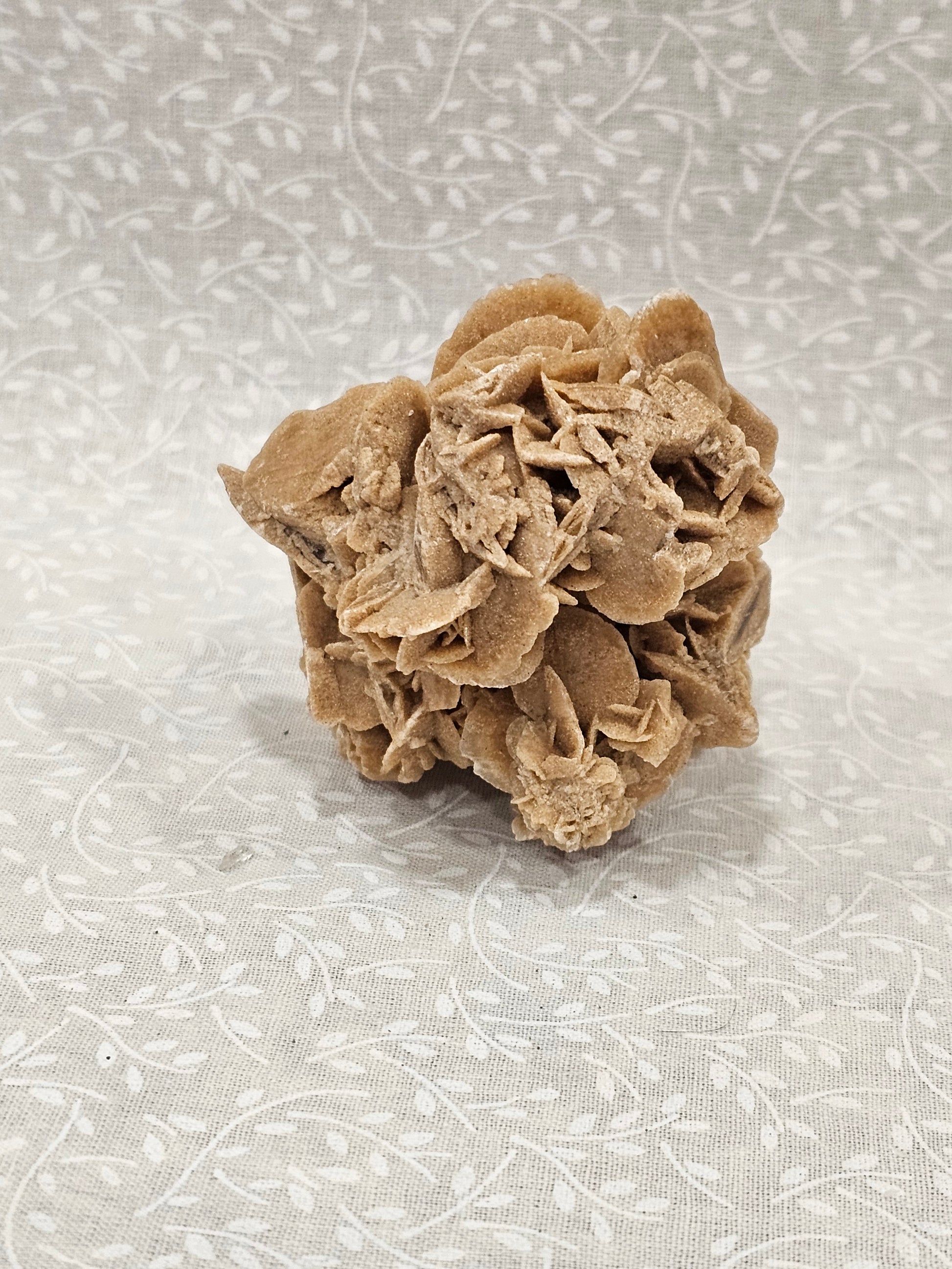 Gypsum Desert Rose Raw Crystal Cluster