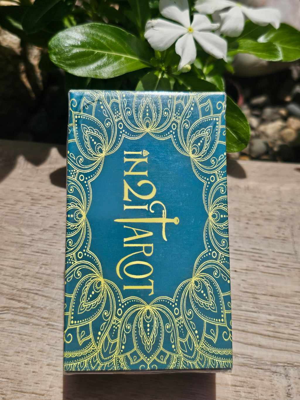 in 21 Tarot Cards Deck