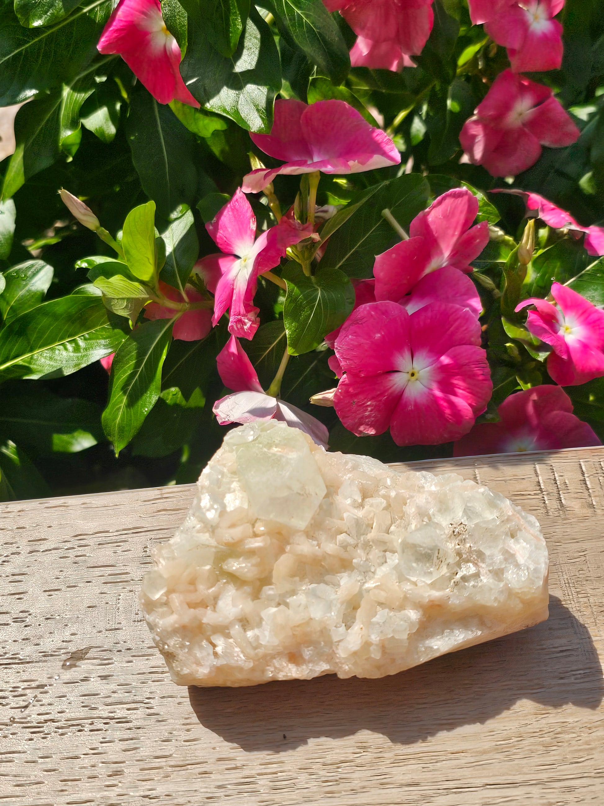 Peach Apophyllite Raw Crystal Cluster